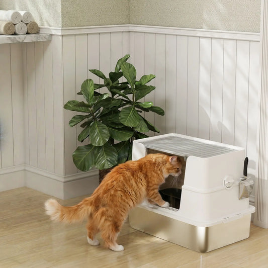 XL Stainless Steel Litter Box With Lid, Extra Large Covered Cat Litter Box Cat Litter Box Enclosures Stainless Steel, Light Grey, Transparent at Gallery Canada