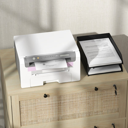 2-Drawer Filing Cabinet with Lock, Rattan, Adjustable Hanging Bar, Natural Office Cabinets & Cupboards at Gallery Canada