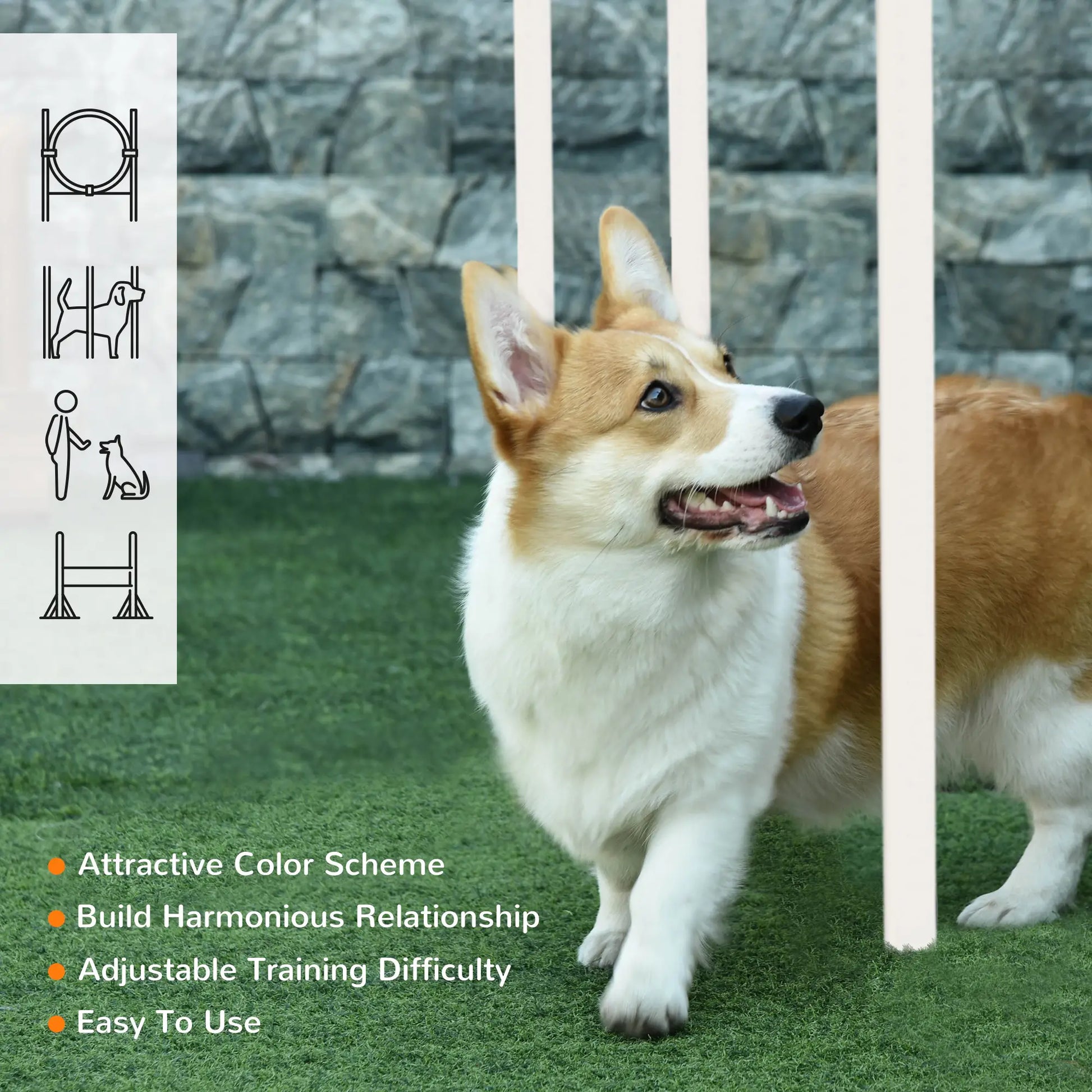5 Pcs Dog Agility Training Set, Disc, Whistle, Weave Poles, Jump Poles, Food Bag, Carry Bag Dog Agility Training Equipment at Gallery Canada