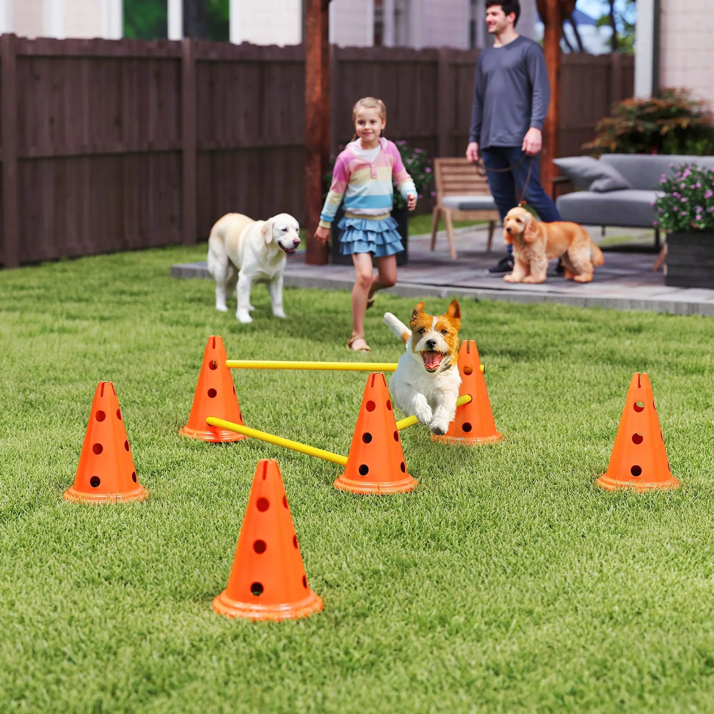 Dog Agility Hurdle Set, 6 Cones & Poles, Orange Dog Agility Training Equipment at Gallery Canada