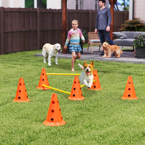 Dog Agility Hurdle Set, 6 Cones & Poles, Orange