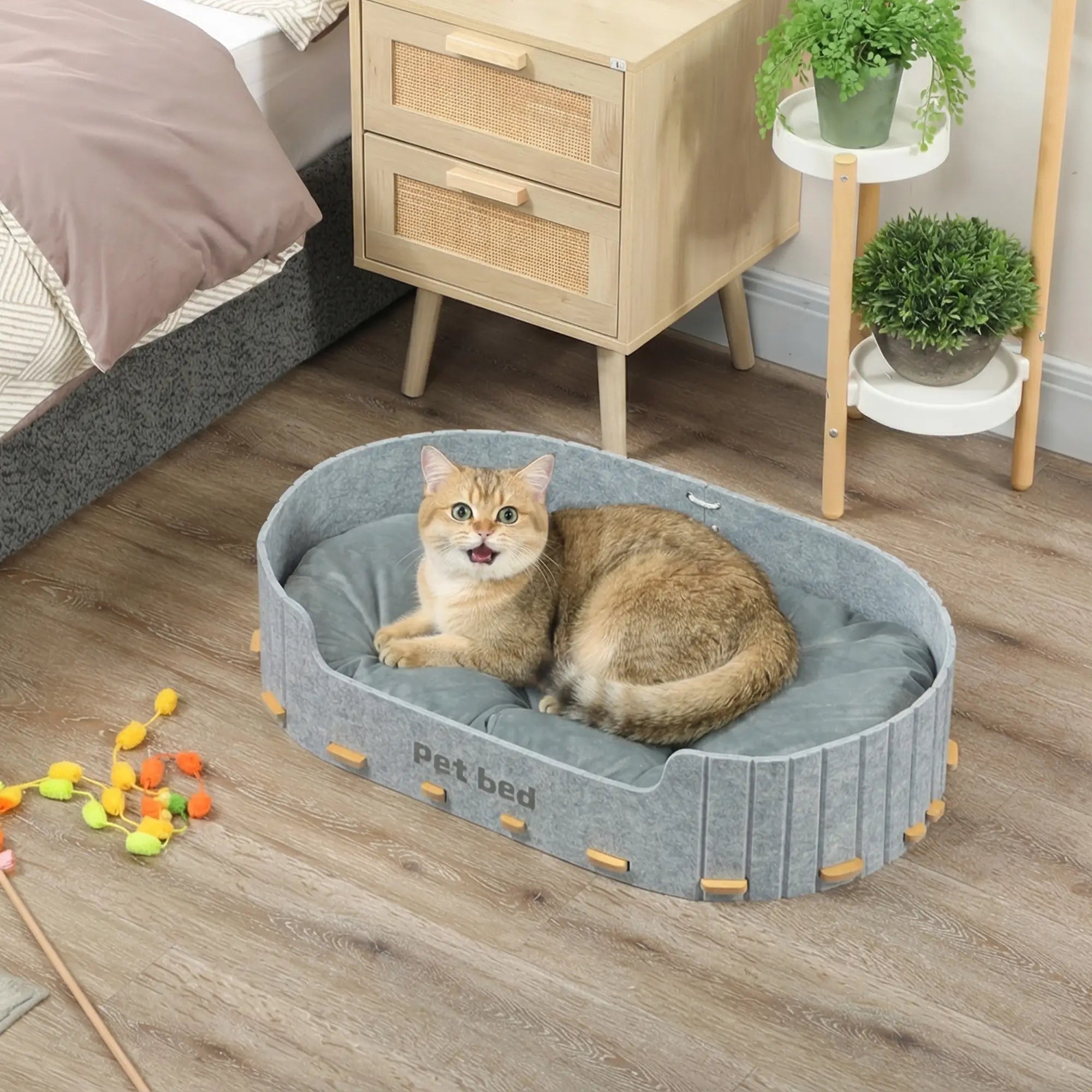Washable Removable Cushion, Scratch-Resistant Cat Couch Sofa, Grey Dog Sofas at Gallery Canada