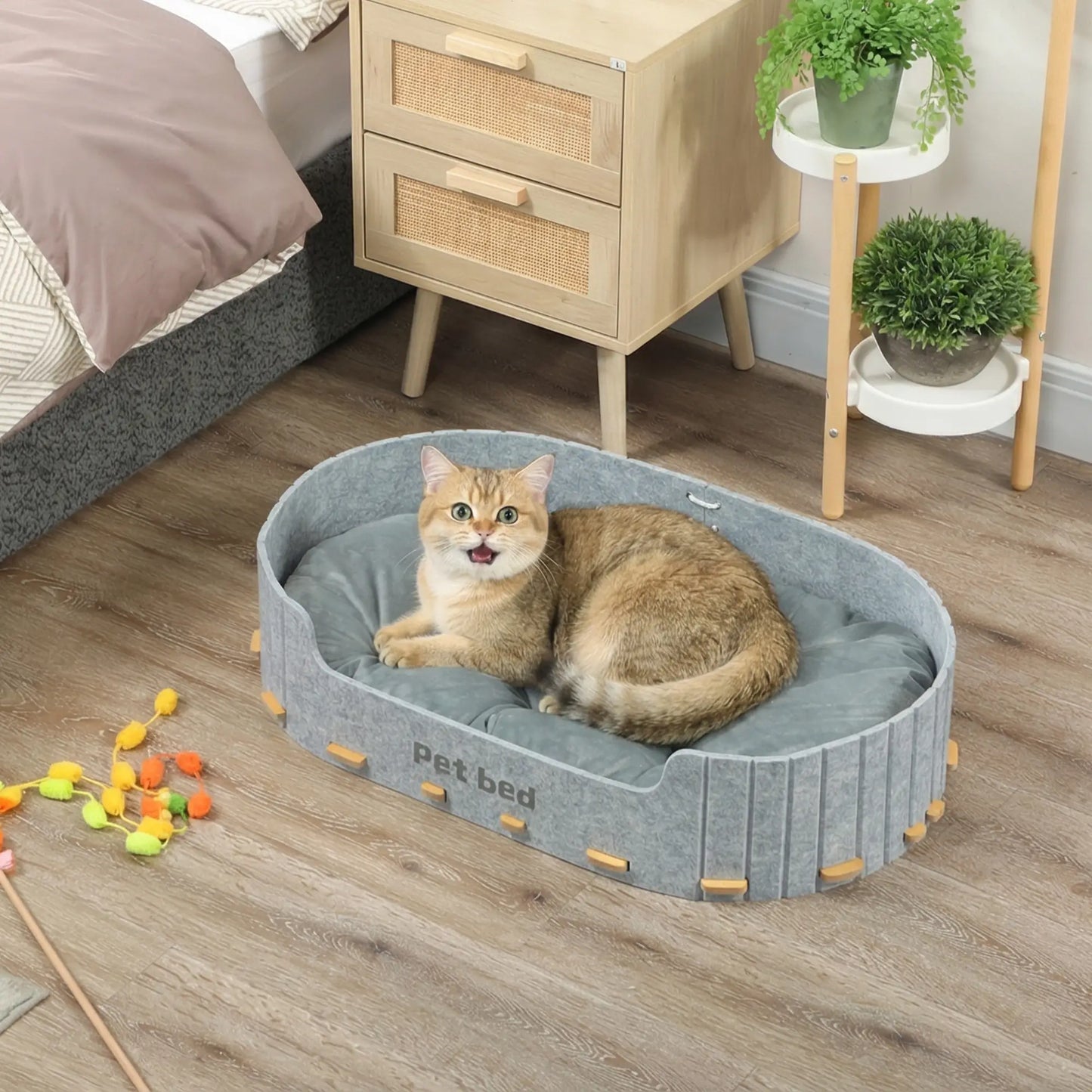 Washable Removable Cushion, Scratch-Resistant Cat Couch Sofa, Grey Dog Sofas at Gallery Canada