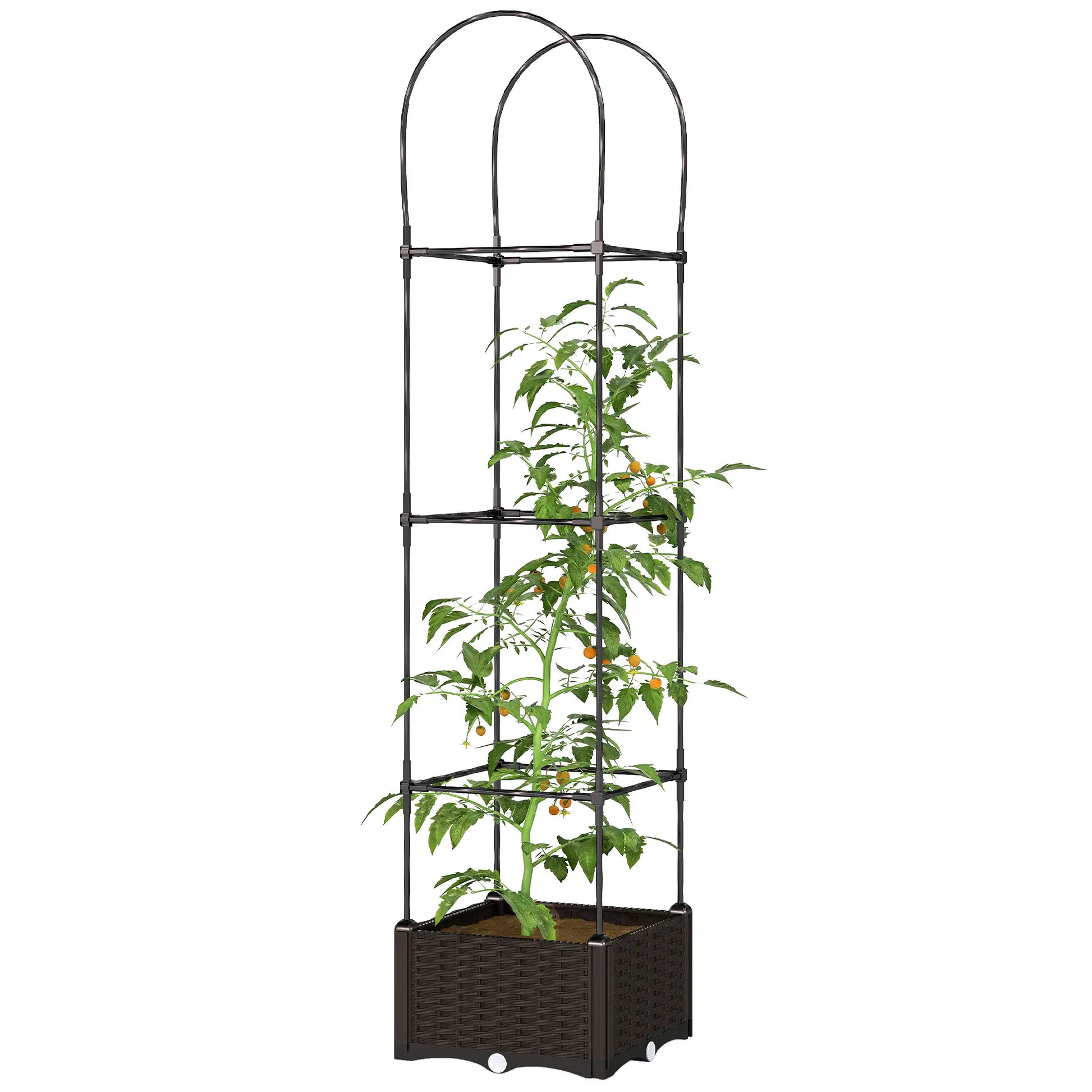 Raised Garden Bed, Tomato Planter Cage, Plastic Box with Trellis, Self-Watering, Drainage Holes Elevated Garden Beds at Gallery Canada