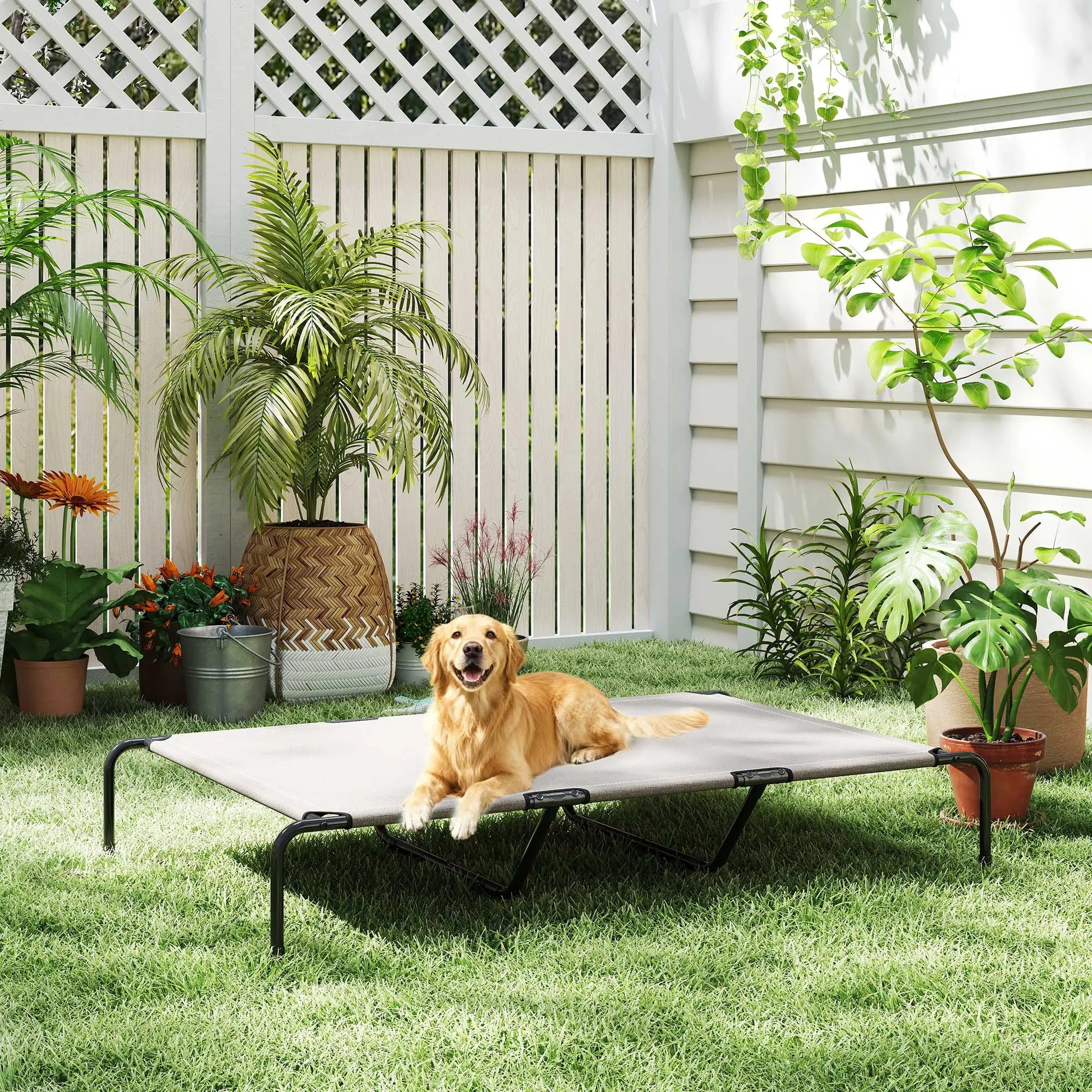 Large Dog Bed, Elevated Outdoor Cot, Breathable Mesh, Beige Elevated Dog Beds at Gallery Canada