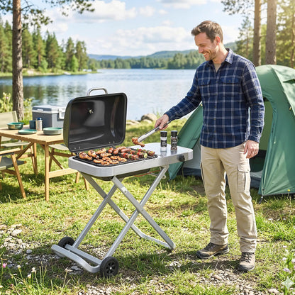Portable Propane BBQ Grill, Foldable Cart, 9500 BTU, Black Propane Gas Grills at Gallery Canada