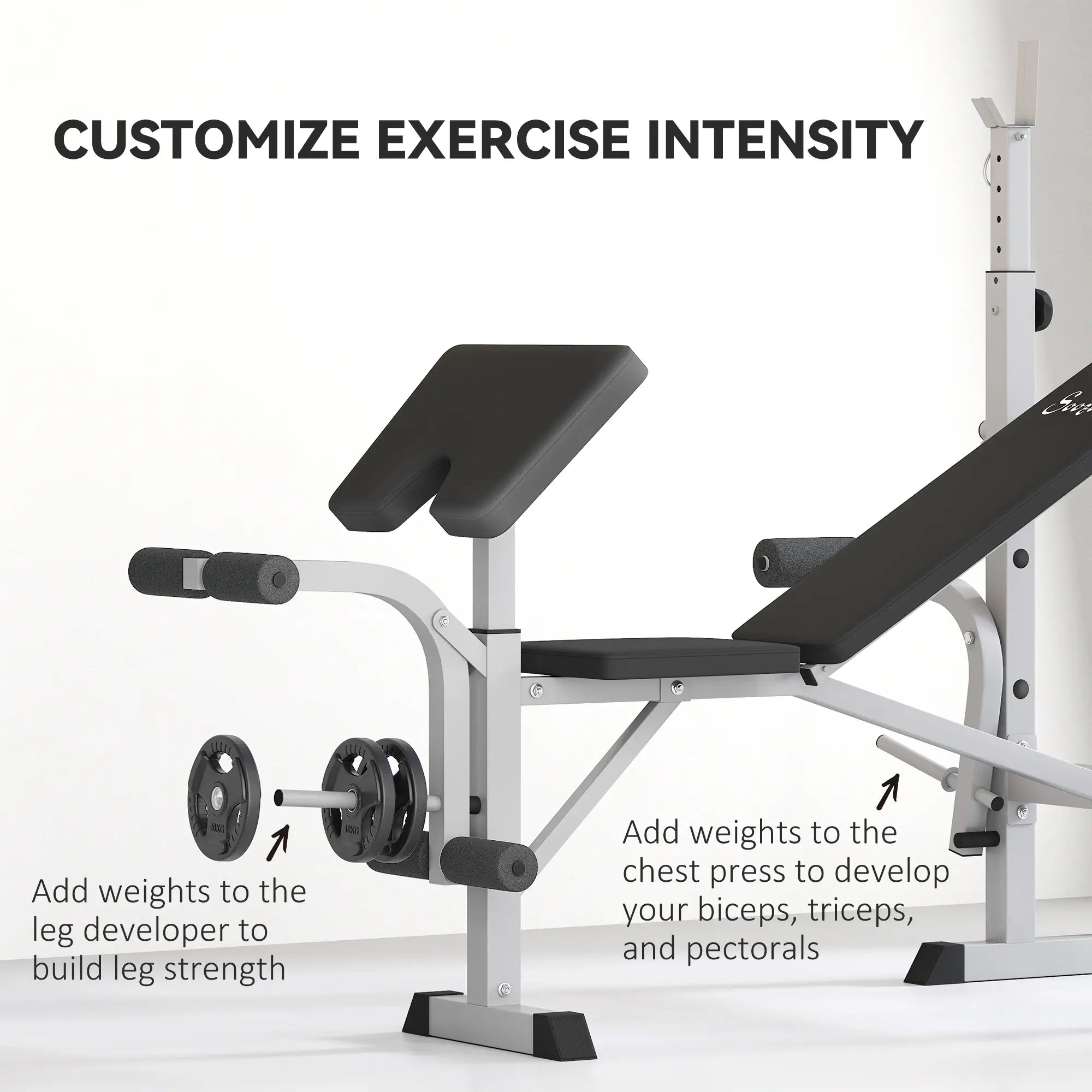 Adjustable Weight Bench, Squat Rack, Preacher Curl Pad, Leg Developer, Grey Weight Benches at Gallery Canada