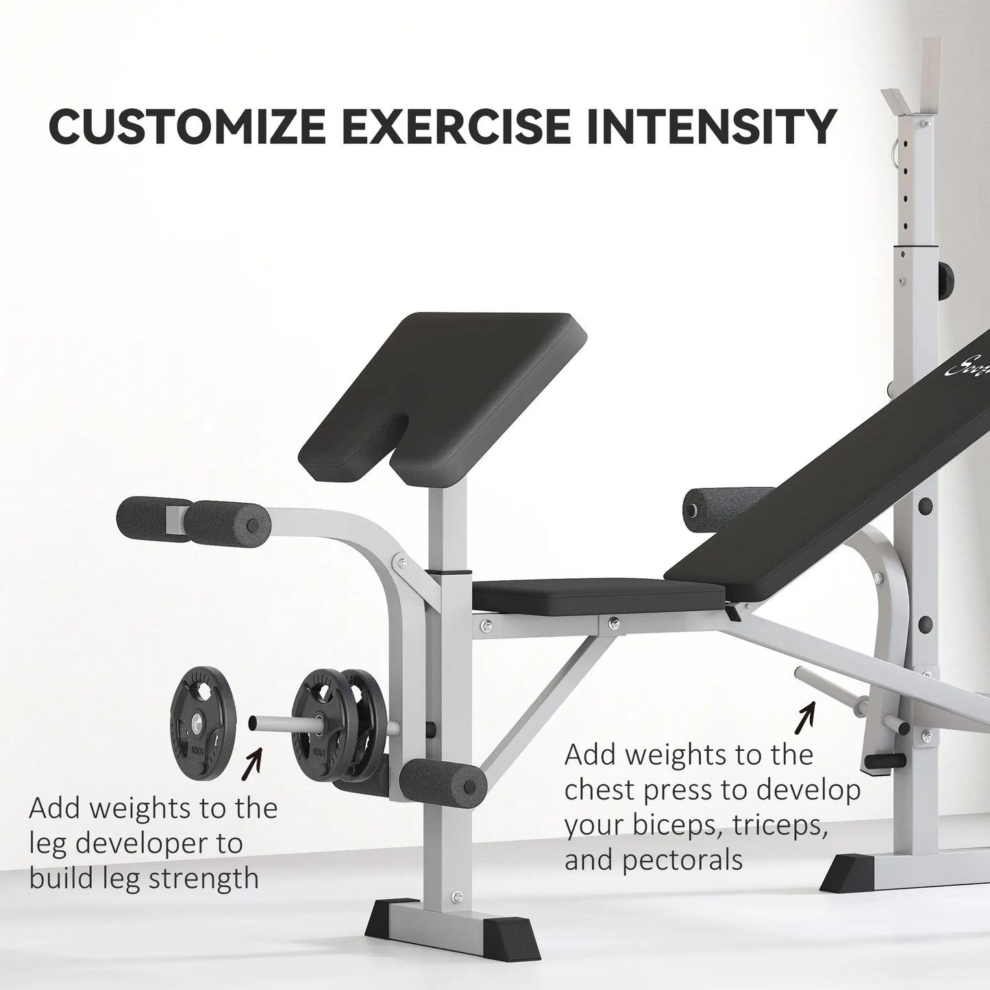 Adjustable Weight Bench, Squat Rack, Preacher Curl Pad, Leg Developer, Grey Weight Benches at Gallery Canada