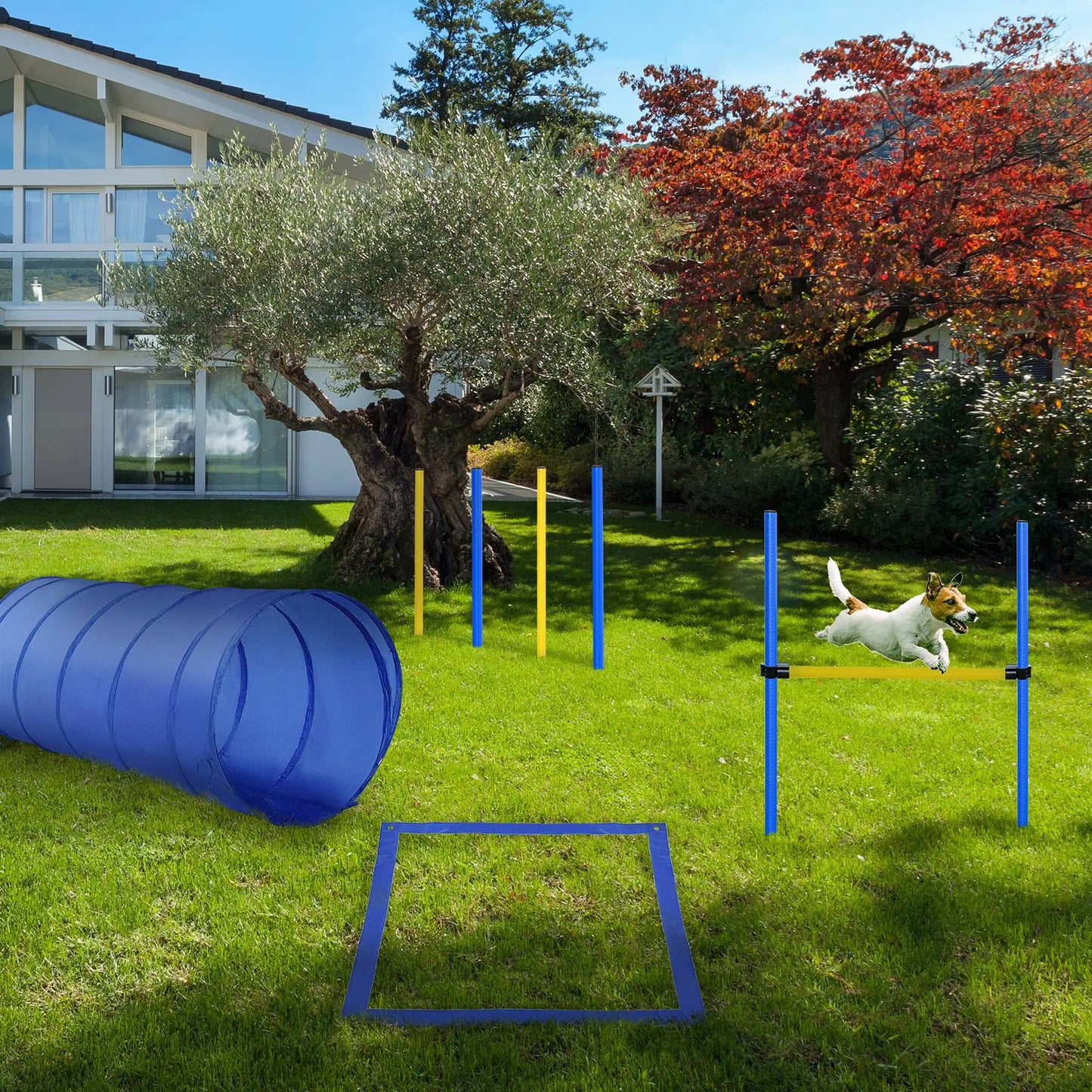 Dog Agility Starter Kit, Outdoor Training Set, Tunnel, 4 Weave Poles, High Jumper Dog Agility Training Equipment at Gallery Canada
