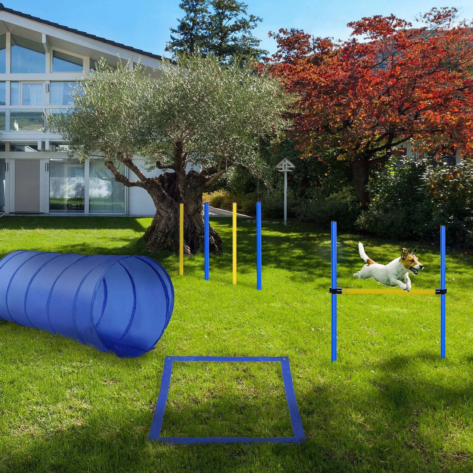 Dog Agility Starter Kit, Outdoor Training Set, Tunnel, 4 Weave Poles, High Jumper Dog Agility Training Equipment at Gallery Canada
