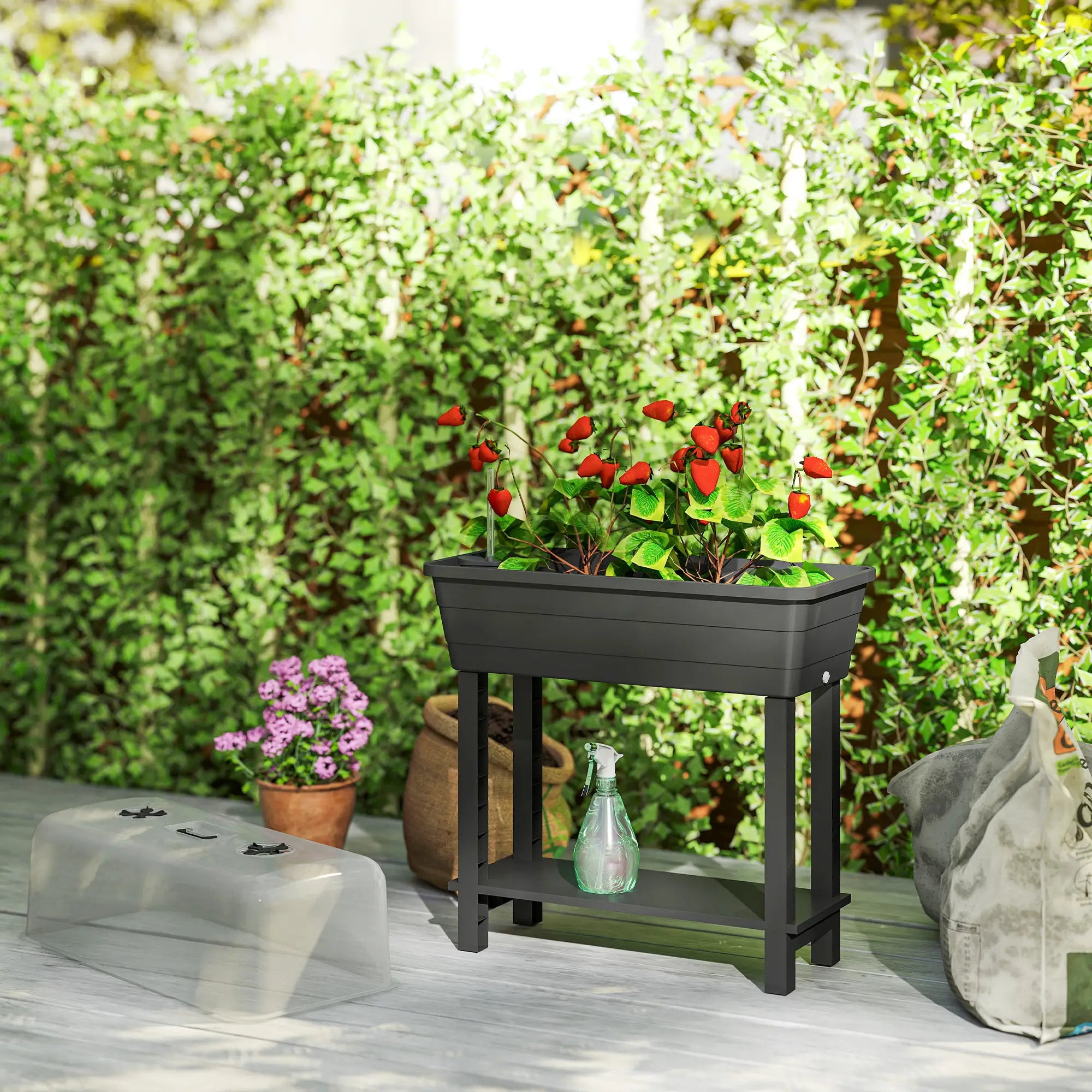 41L Self Watering Raised Garden Bed, Transparent Lid, Storage Shelf, Black Elevated Garden Beds at Gallery Canada