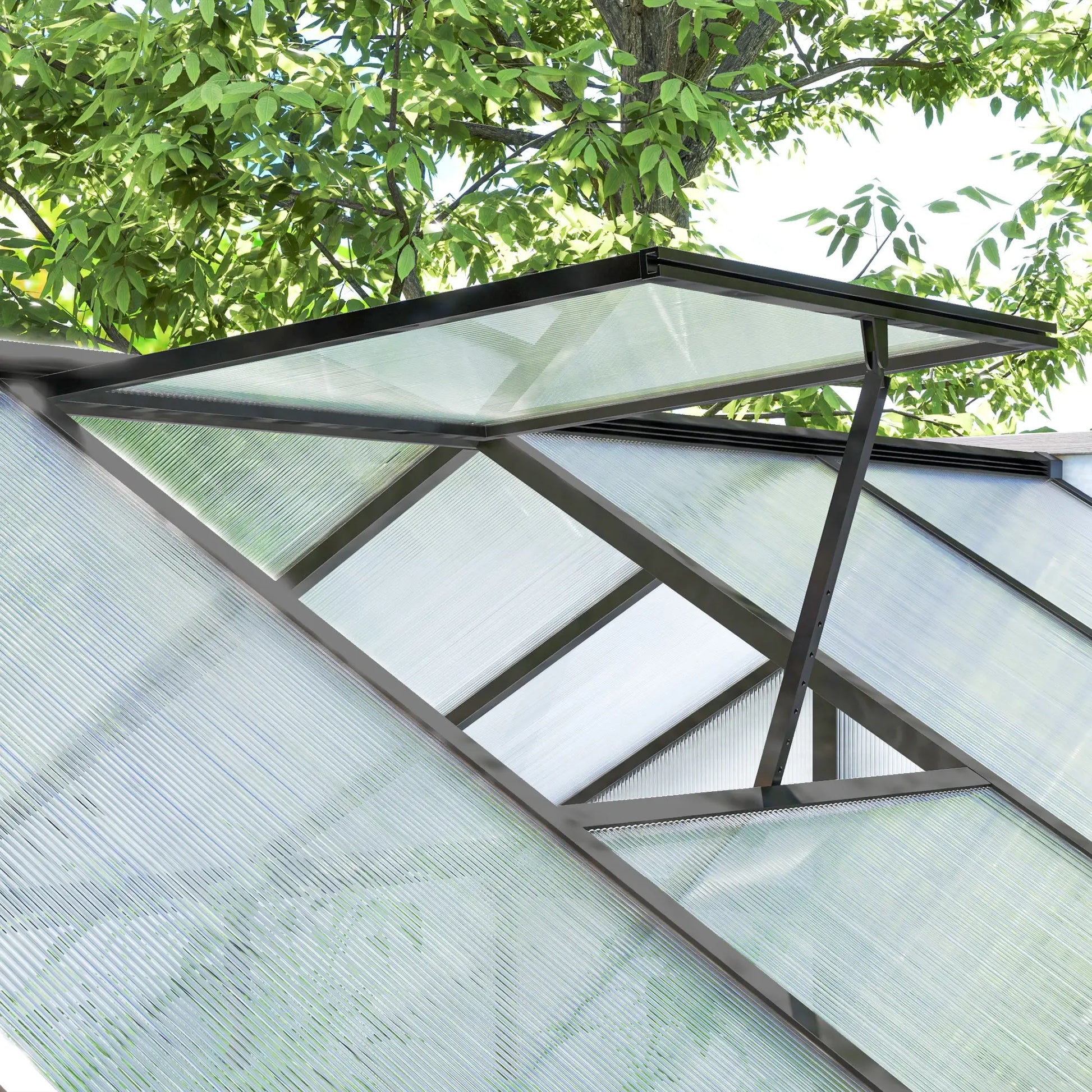 6' x 10' x 6.4' Polycarbonate Greenhouse, Aluminum Walk-In, Charcoal Grey Walk In Greenhouses at Gallery Canada