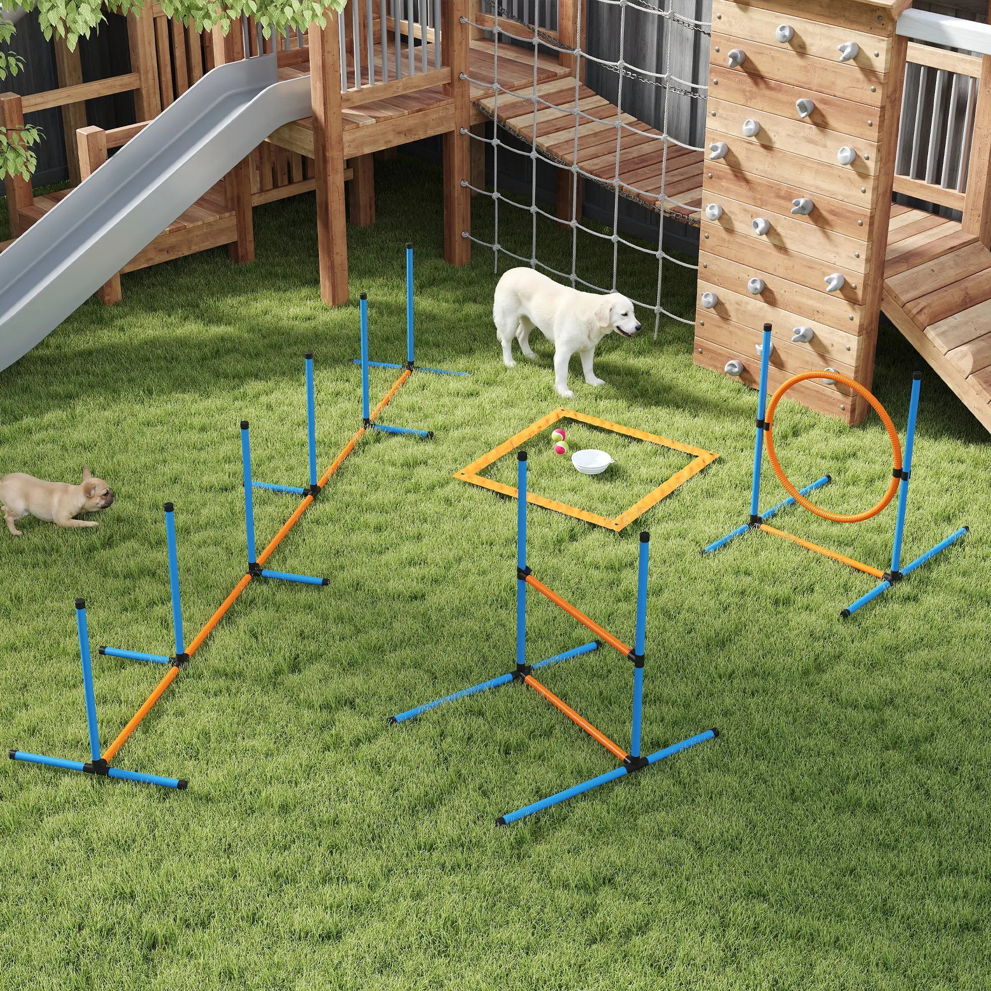 Dog Agility Training Equipment, 5PCS Obstacle Course Starter Kit With Bag Dog Agility Training Equipment at Gallery Canada