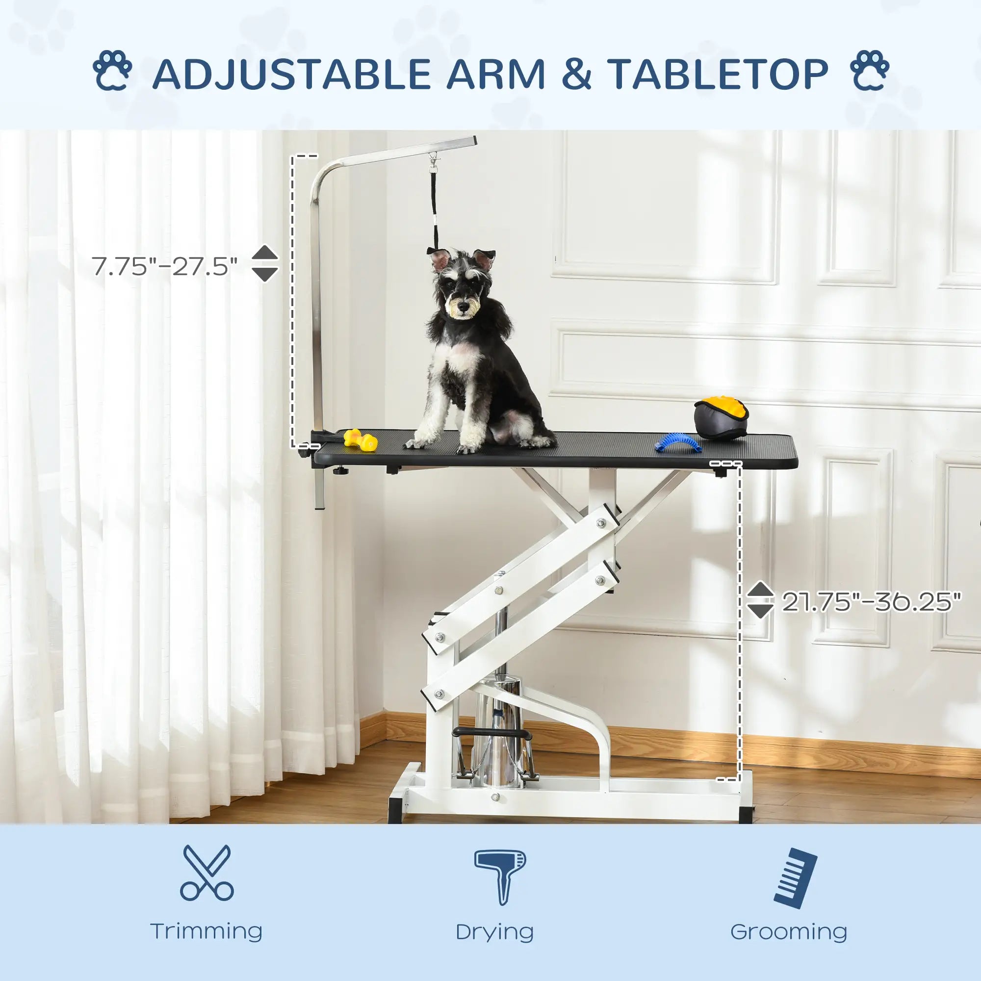 Adjustable Dog Grooming Table with Arm, Noose, Non-Slip, Black Dog Grooming Tables at Gallery Canada