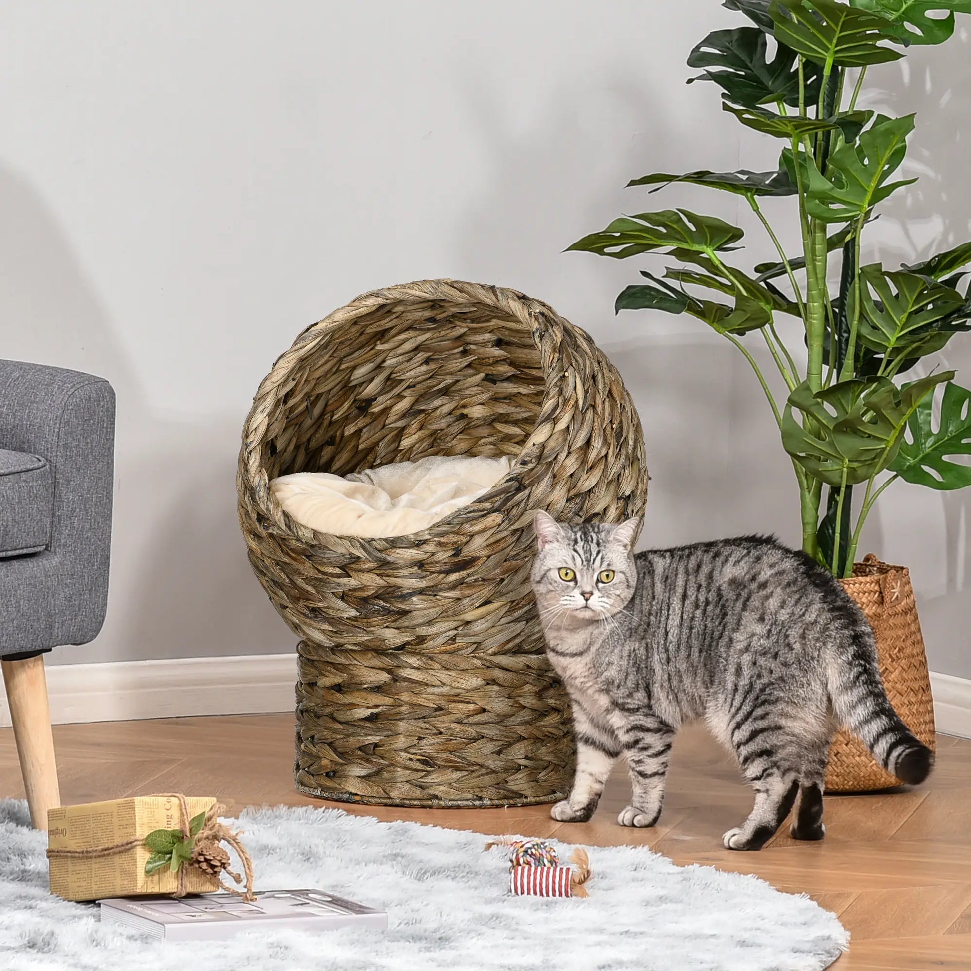 Wicker Cat Bed With Cushion, Stand, Indoor, Dark Brown Cat Houses at Gallery Canada