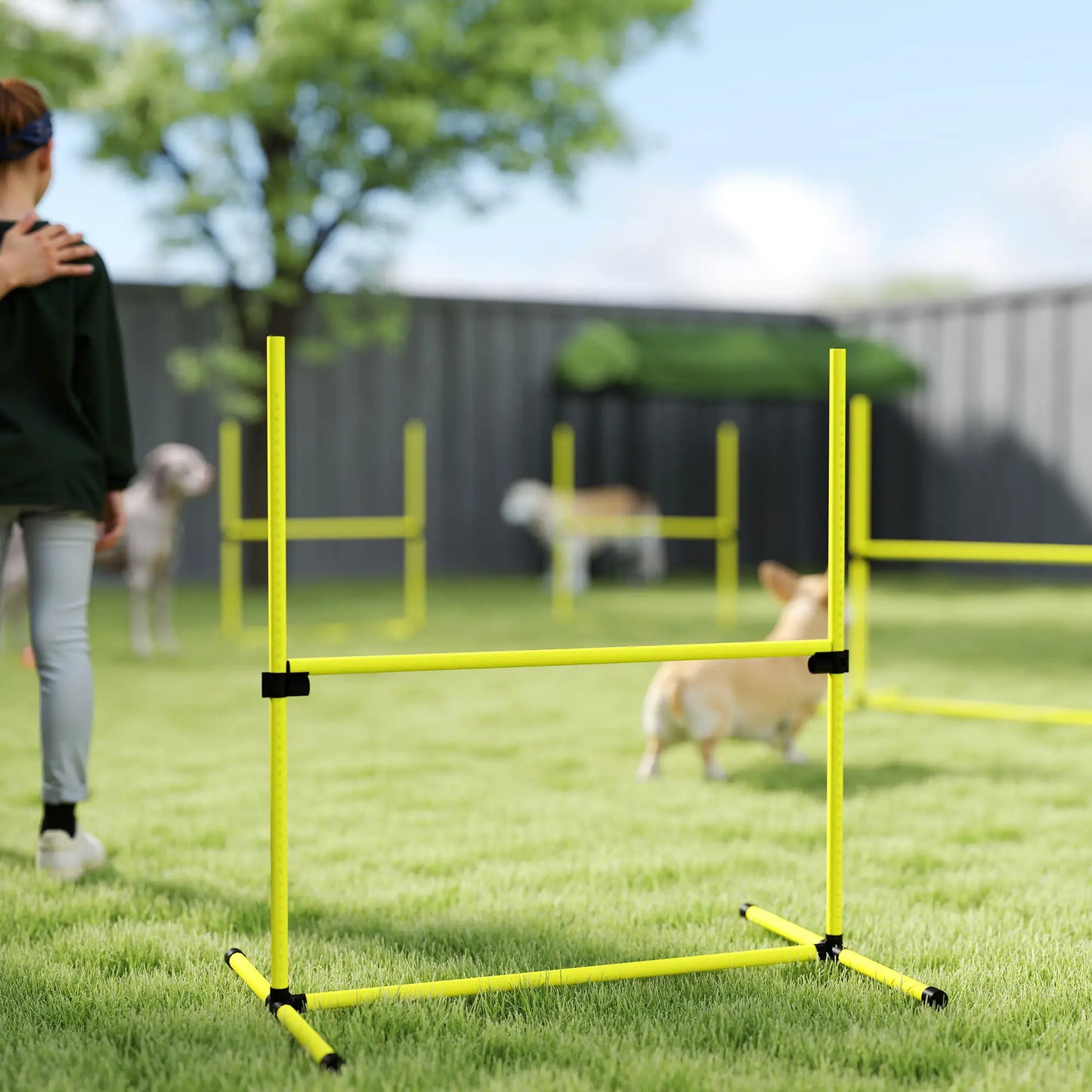 Set of 4 Dog Agility Training Jump Bars, Adjustable, Yellow Dog Agility Training Equipment at Gallery Canada