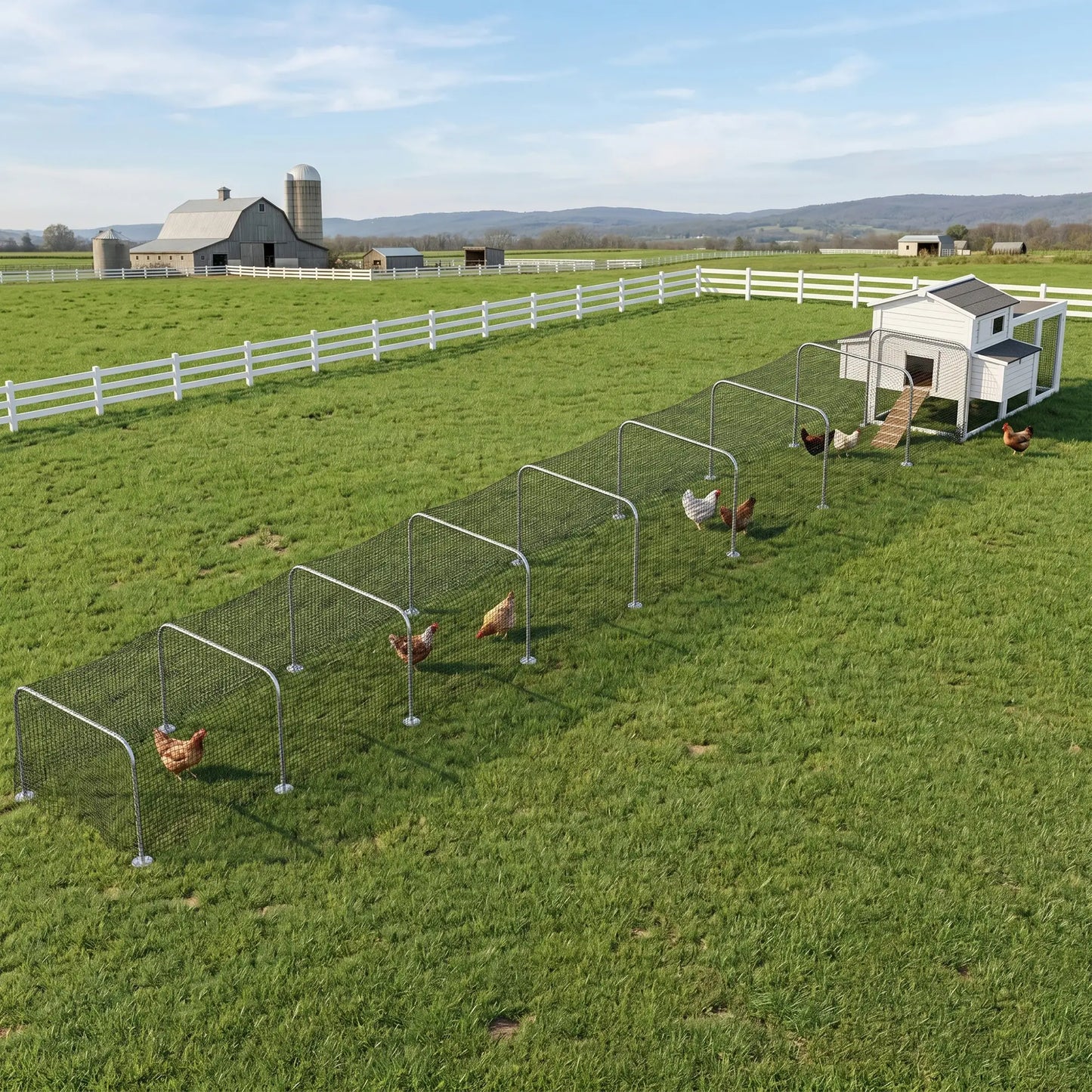 Extra Long Chicken Tunnel for Outside, 354" x 39" Galvanized Steel Chicken Run for 10-15 Chickens or Ducks Chicken Coops at Gallery Canada