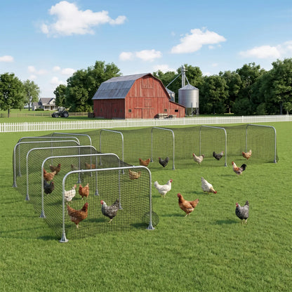 Extra Long Chicken Tunnel for Outside, 354" x 39" Galvanized Steel Chicken Run for 10-15 Chickens or Ducks Chicken Coops at Gallery Canada