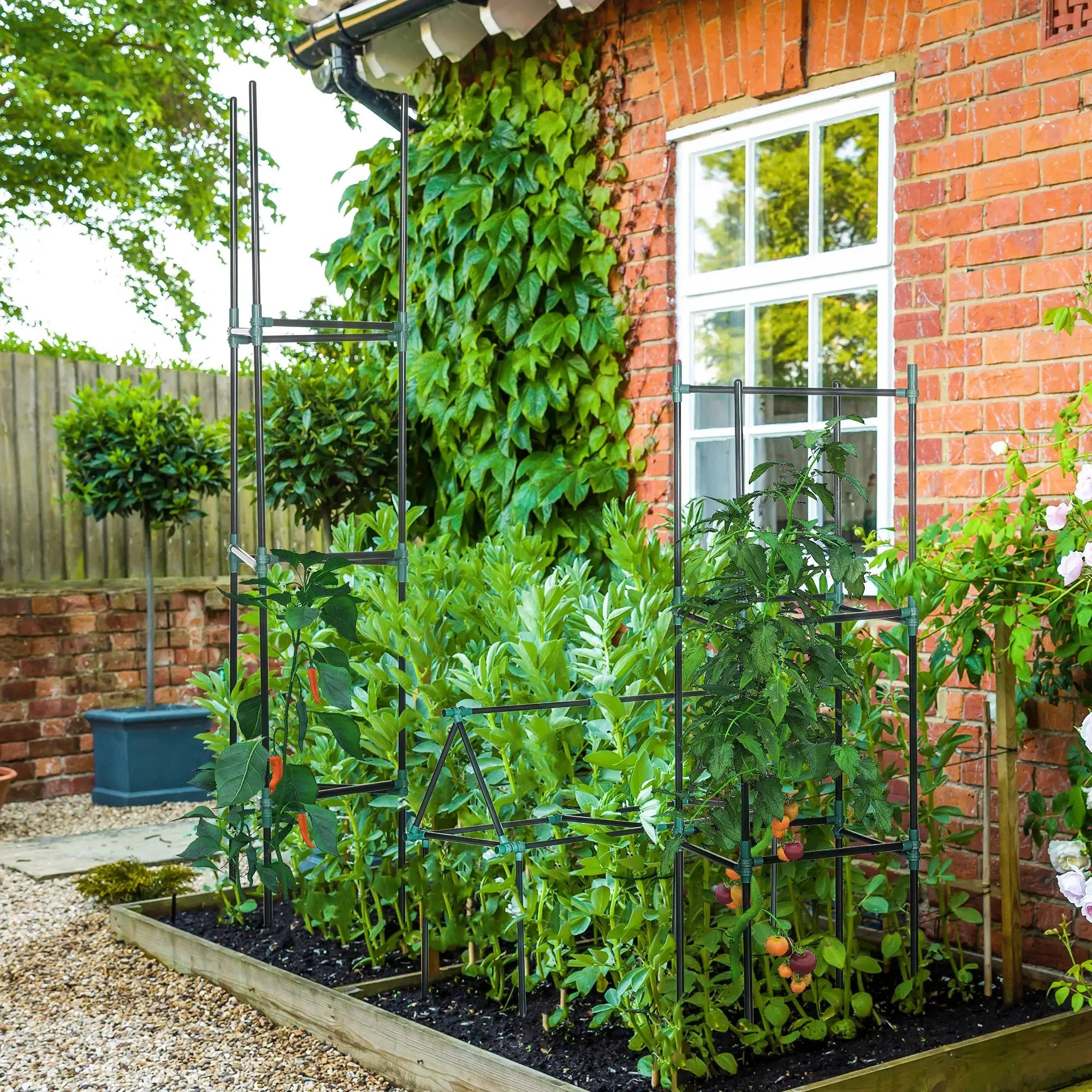 3 Pack Tomato Cage Set, 72 Inch, Plant Support Trellis, Dark Green Plant Stands at Gallery Canada