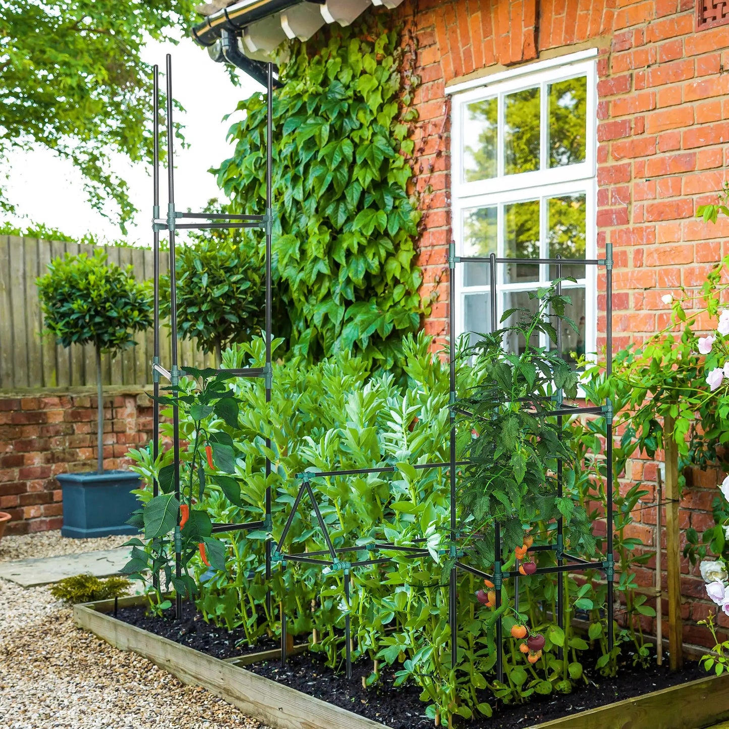 3 Pack Tomato Cage Set, 72 Inch, Plant Support Trellis, Dark Green Plant Stands at Gallery Canada