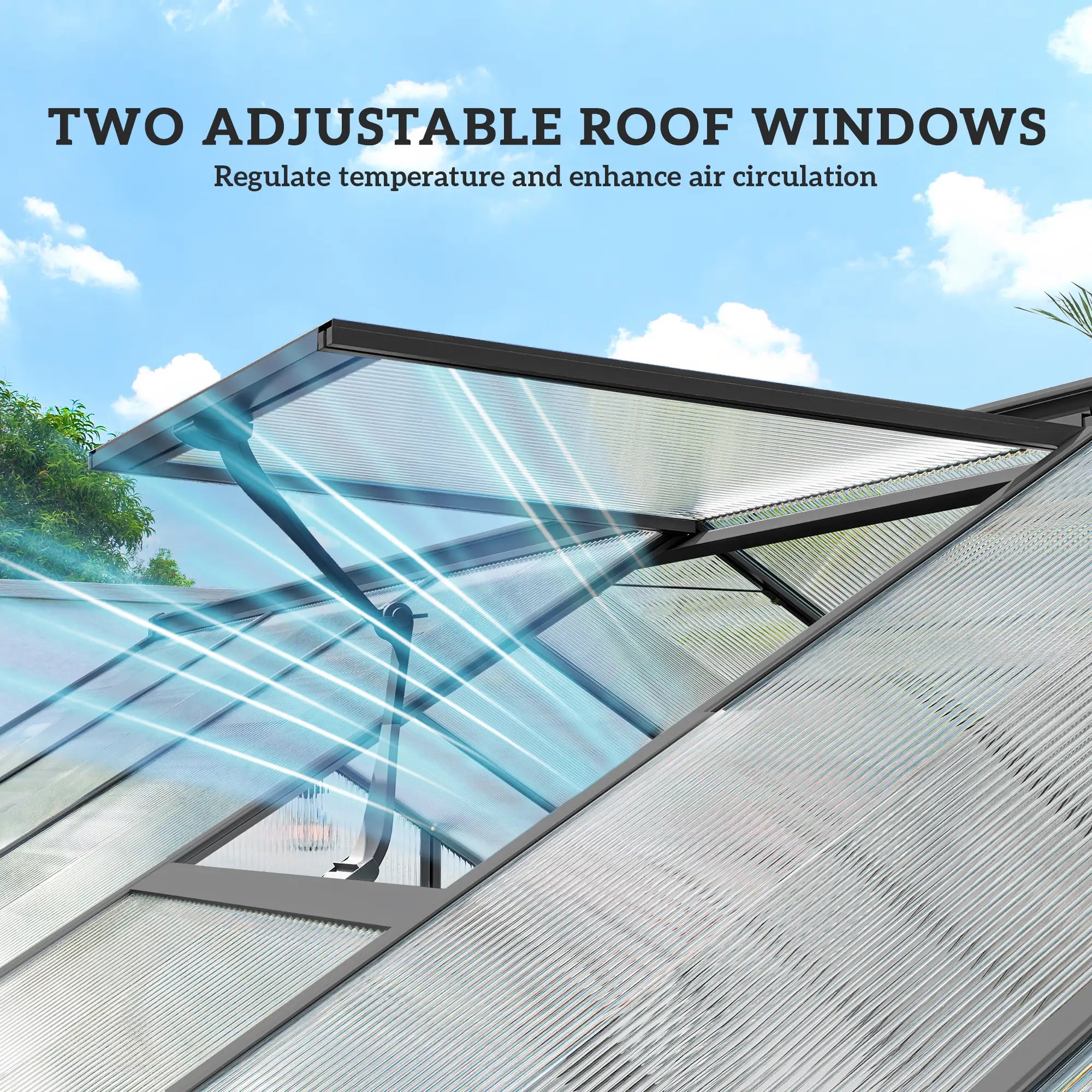 Polycarbonate Greenhouse, Walk-In With Windows, 8' x 16' x 7', Dark Grey Walk In Greenhouses at Gallery Canada