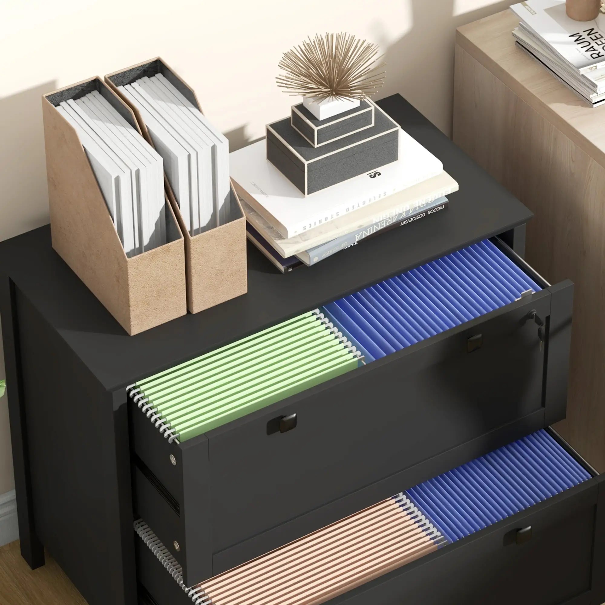 2 Drawer File Cabinet, Lockable, Adjustable Hanging Bar, Letter, A4, Legal Size, Black Office Cabinets & Cupboards at Gallery Canada