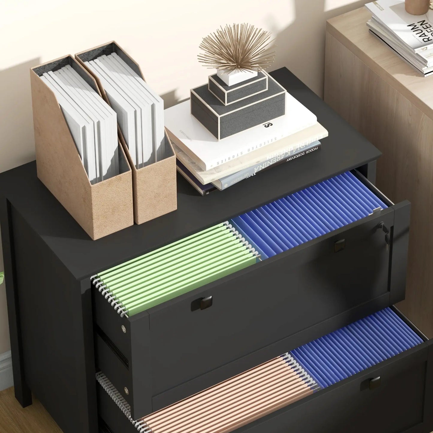 2 Drawer File Cabinet, Lockable, Adjustable Hanging Bar, Letter, A4, Legal Size, Black Office Cabinets & Cupboards at Gallery Canada