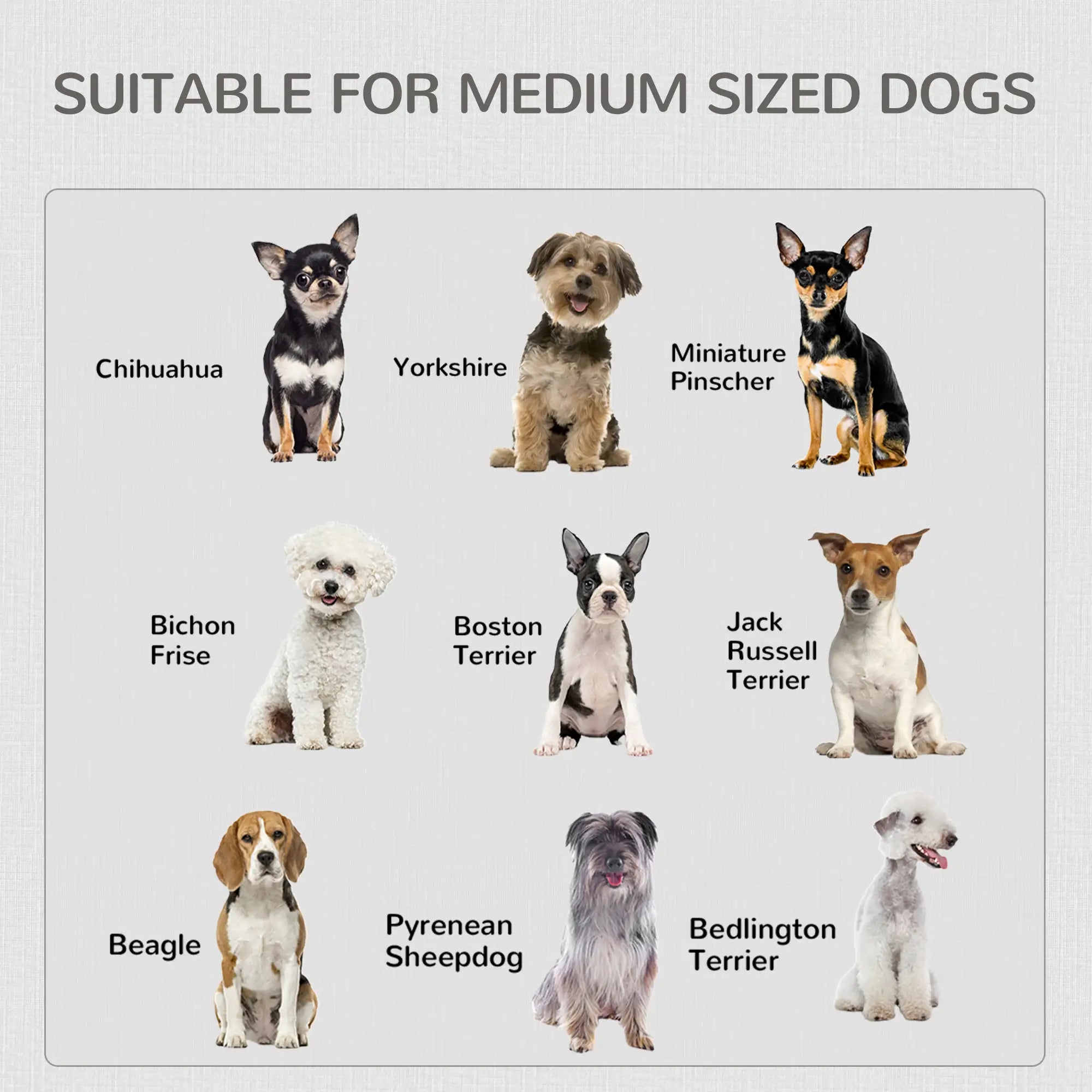 2-in-1 Dog Cage and Side Table, Two Lockable Doors, Medium Size, White Houses, Kennels & Pens at Gallery Canada