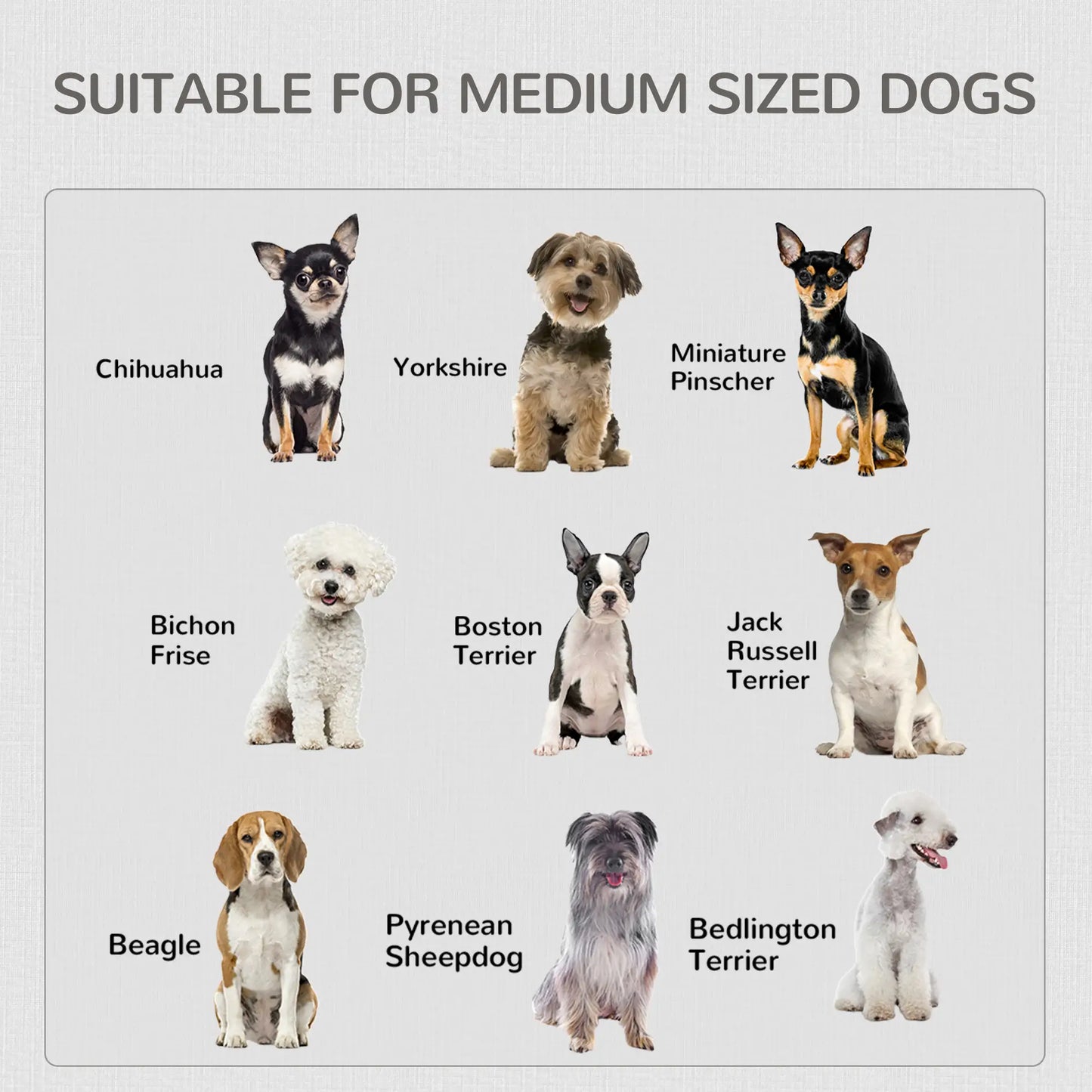 2-in-1 Dog Cage and Side Table, Two Lockable Doors, Medium Size, White Houses, Kennels & Pens at Gallery Canada