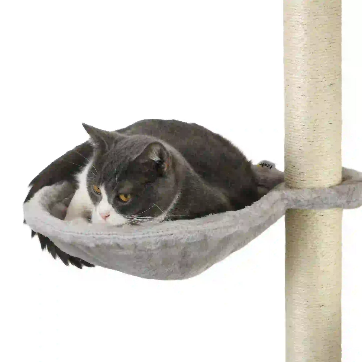 4Pcs Cat Wall Shelf with Scratching Post, Soft Ladder, Hammock, Grey Cat Climbing Wall at Gallery Canada
