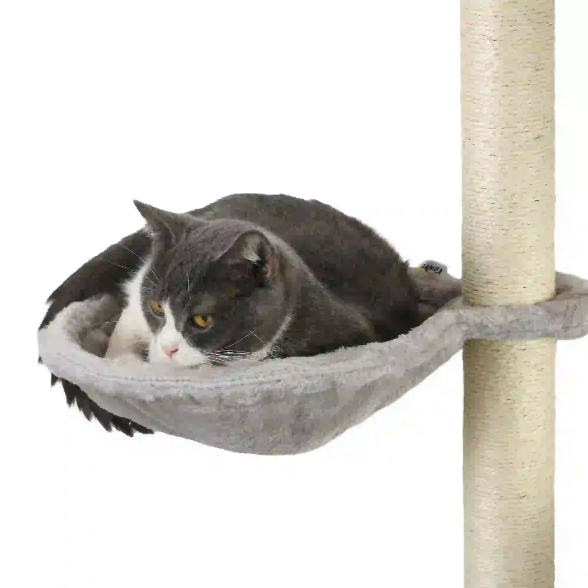 4Pcs Cat Wall Shelf with Scratching Post, Soft Ladder, Hammock, Grey Cat Climbing Wall at Gallery Canada
