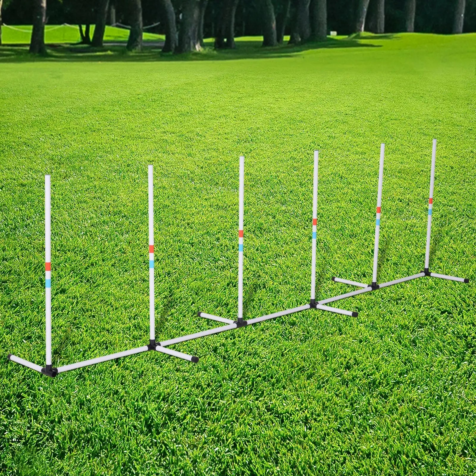 Adjustable Dog Agility Set, Weave Poles, Storage Bag, White Dog Agility Training Equipment at Gallery Canada