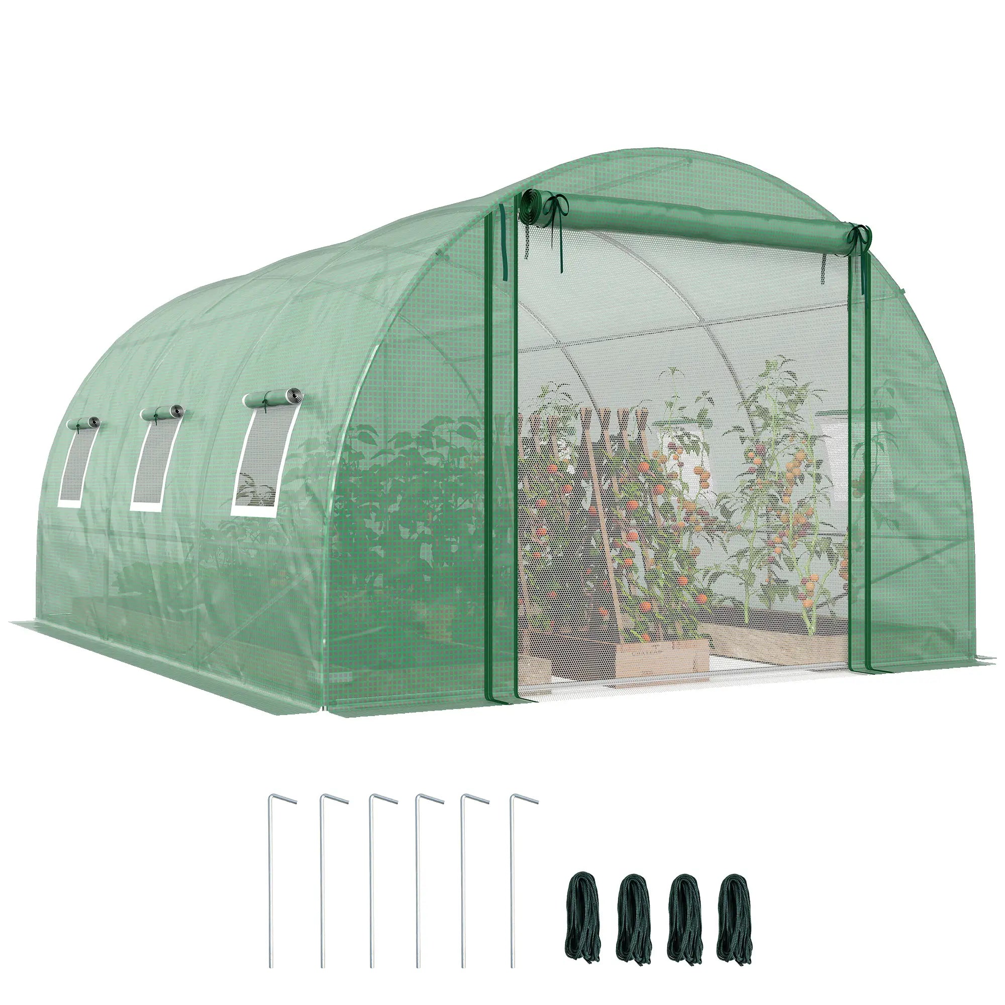 Walk-in Tunnel Greenhouse, 13'x9.8'x6.6', Green Tunnel Greenhouses at Gallery Canada