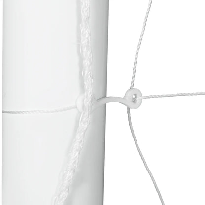 9.8 x 6.6ft Soccer Goal, Portable Practice Net with PE Net Football at Gallery Canada