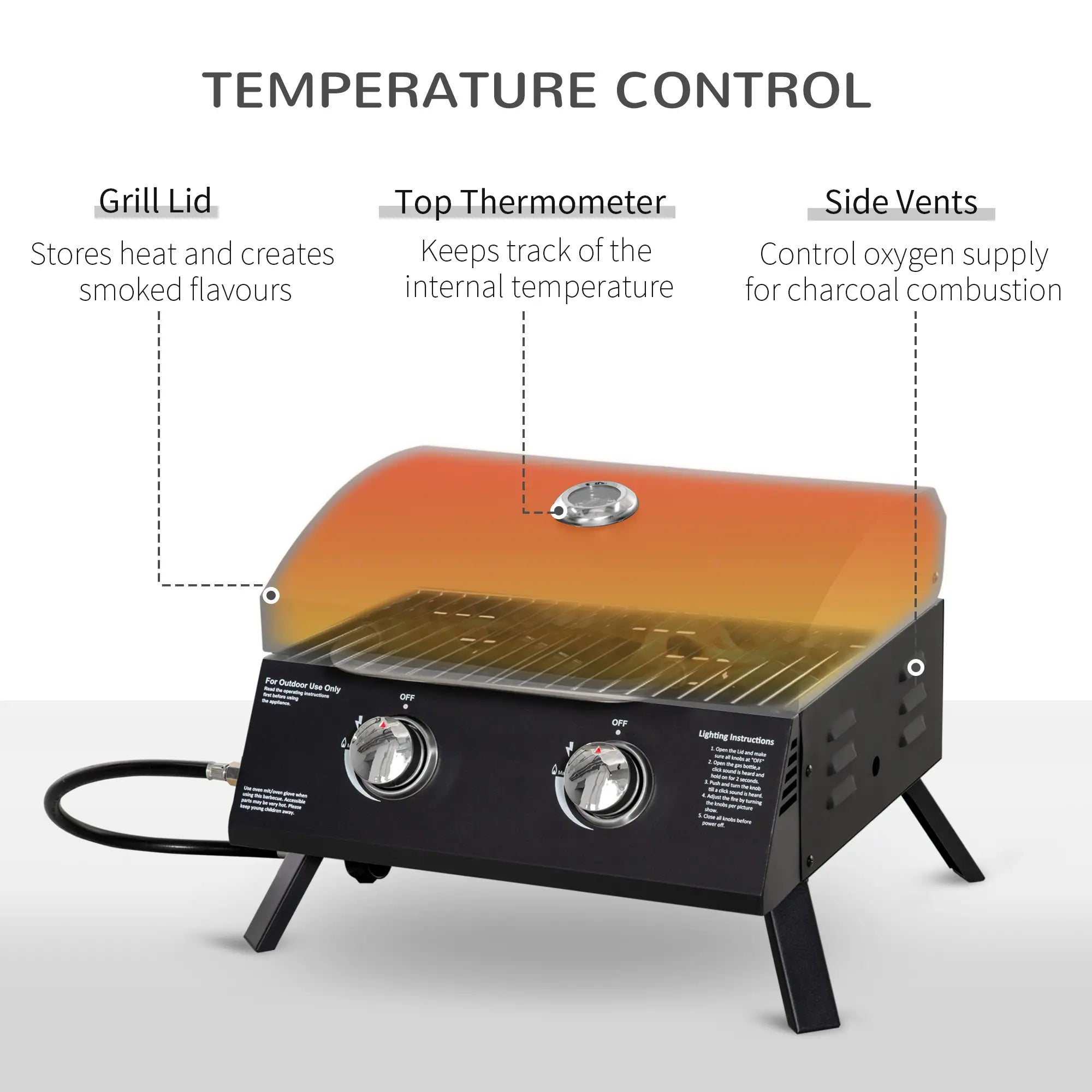 2 Burner Propane Gas Grill, Portable Tabletop BBQ, Black Propane Gas Grills at Gallery Canada