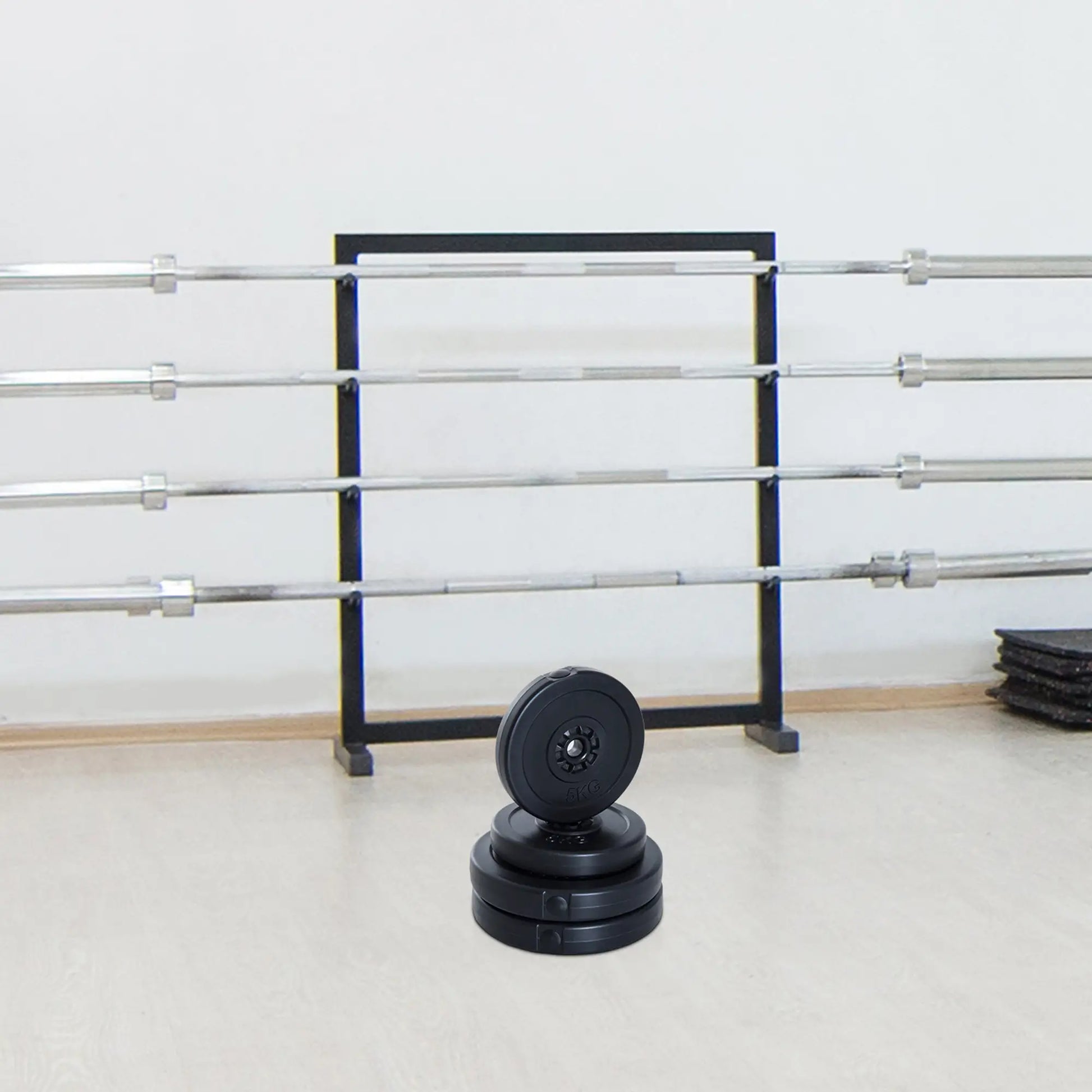 4 Piece Dumbbell Weight Plates Set, 2 x 11lbs and 2 x 22lbs, Black Dumbbells & Barbells at Gallery Canada
