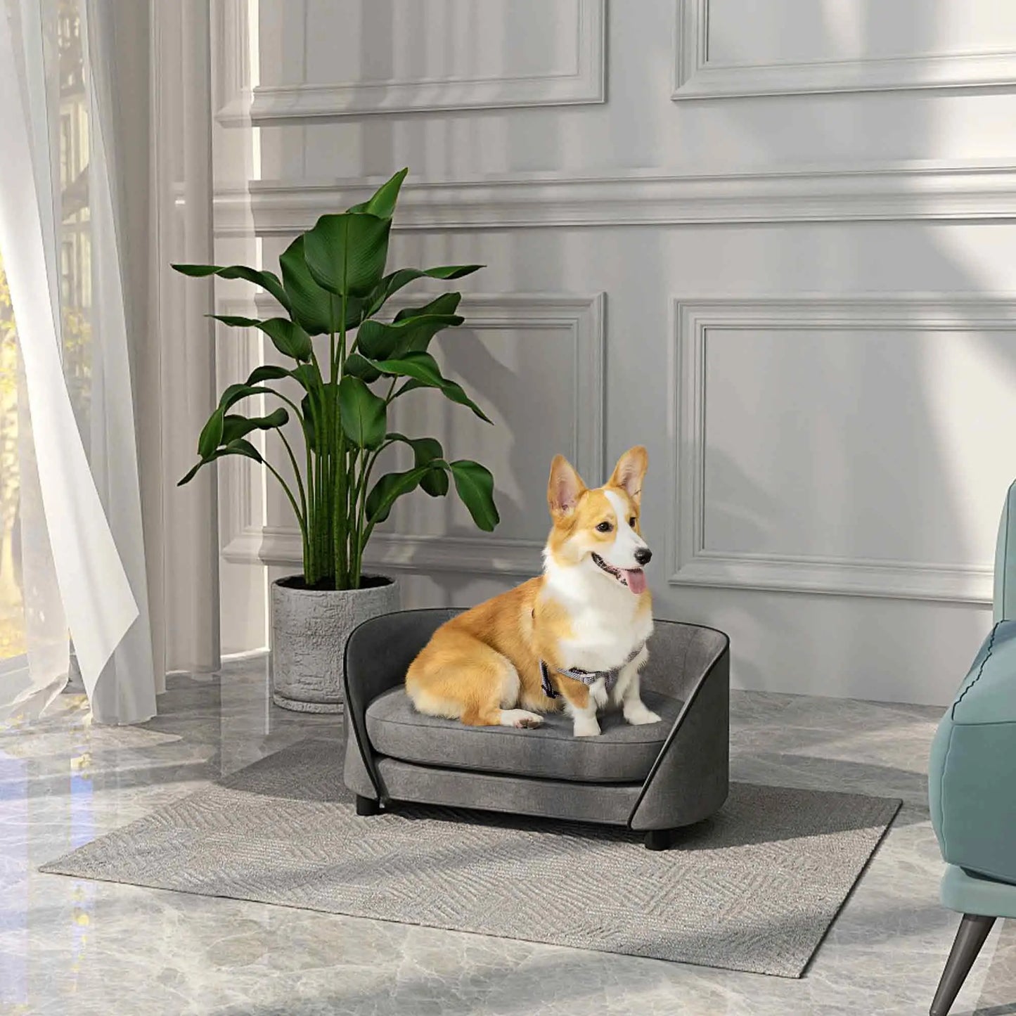 Pet Sofa Dog Couch, Small to Medium, Soft Cushion, Washable Cover, Grey Dog Sofas at Gallery Canada