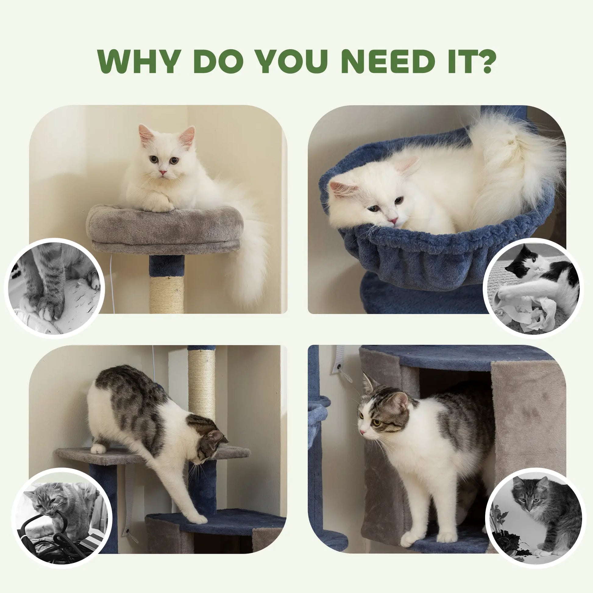 48" Cat Tree with Condo, Hammock, Perch, Scratching Posts, Blue and Grey Cat Trees at Gallery Canada