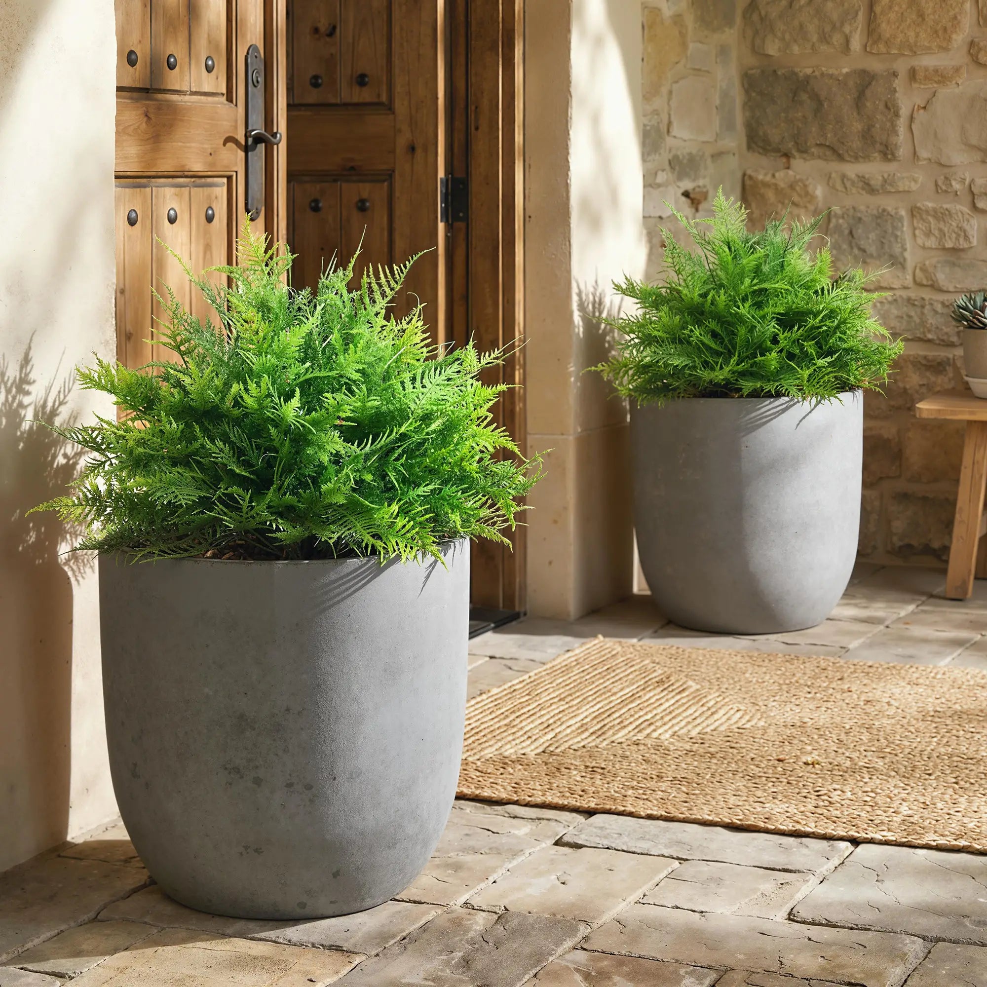 Artificial Boston Ferns, UV-Resistant Fake Plants, Indoor Outdoor Decor, Set of 2 Artificial Trees at Gallery Canada