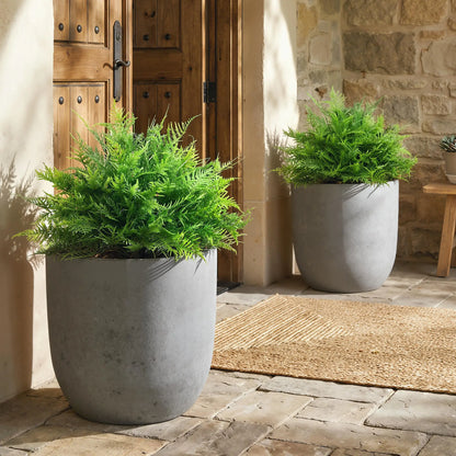 Artificial Boston Ferns, UV-Resistant Fake Plants, Indoor Outdoor Decor, Set of 2 Artificial Trees at Gallery Canada