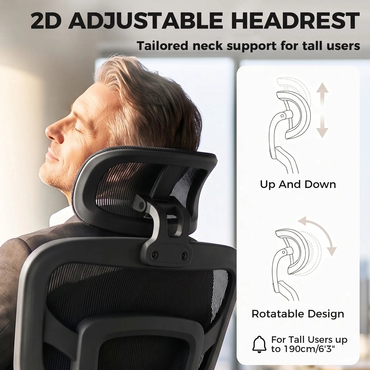 Ergonomic Office Chair, Lumbar Support, 2D Headrest, Mesh Reclining, Black