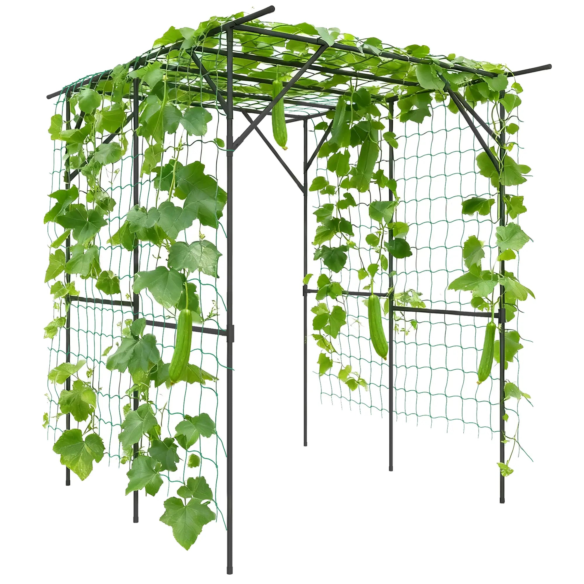 6.4FT Tall Metal Garden Arch Trellis, Plant Support With Climbing Net Plant Stands at Gallery Canada