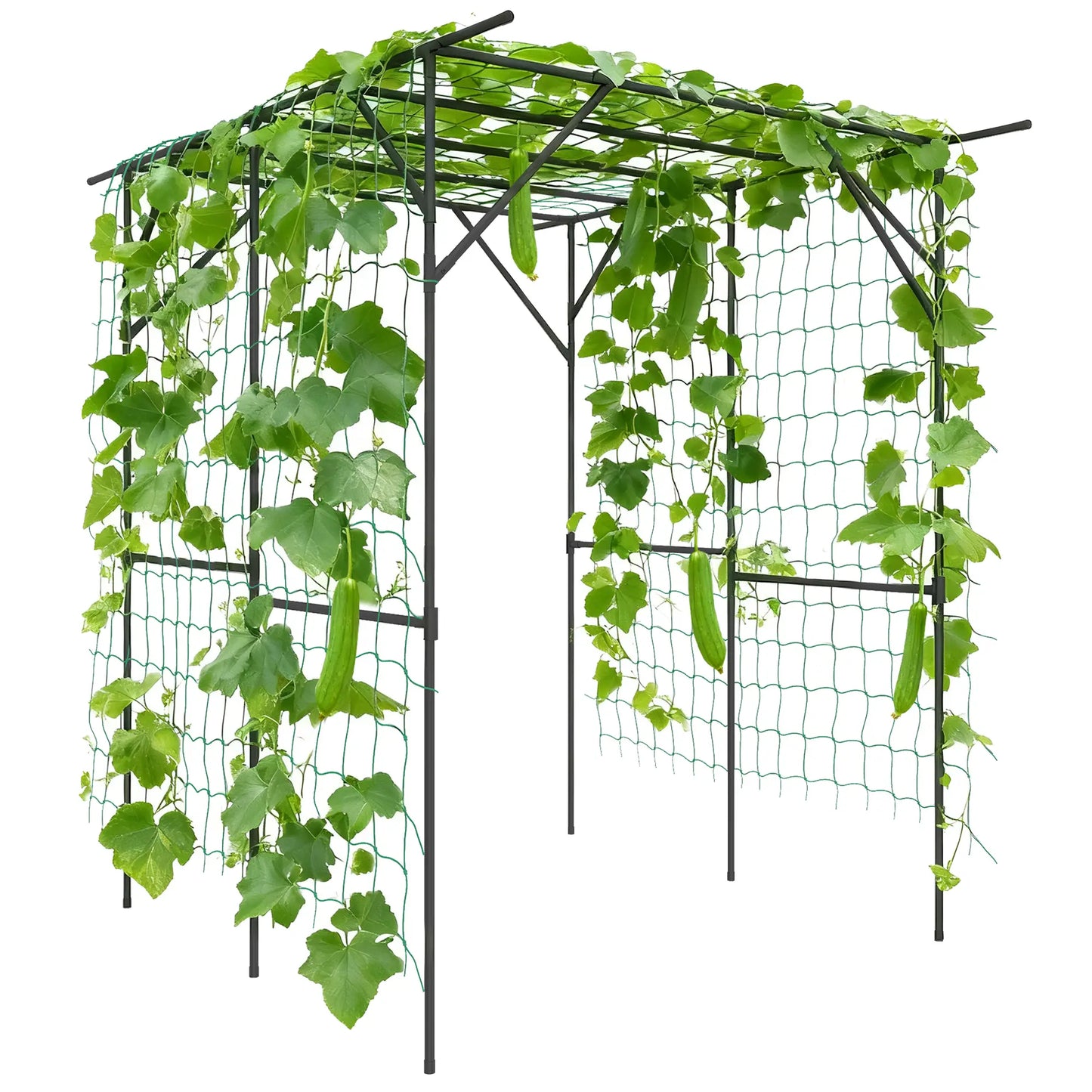 6.4FT Tall Metal Garden Arch Trellis, Plant Support With Climbing Net Plant Stands at Gallery Canada