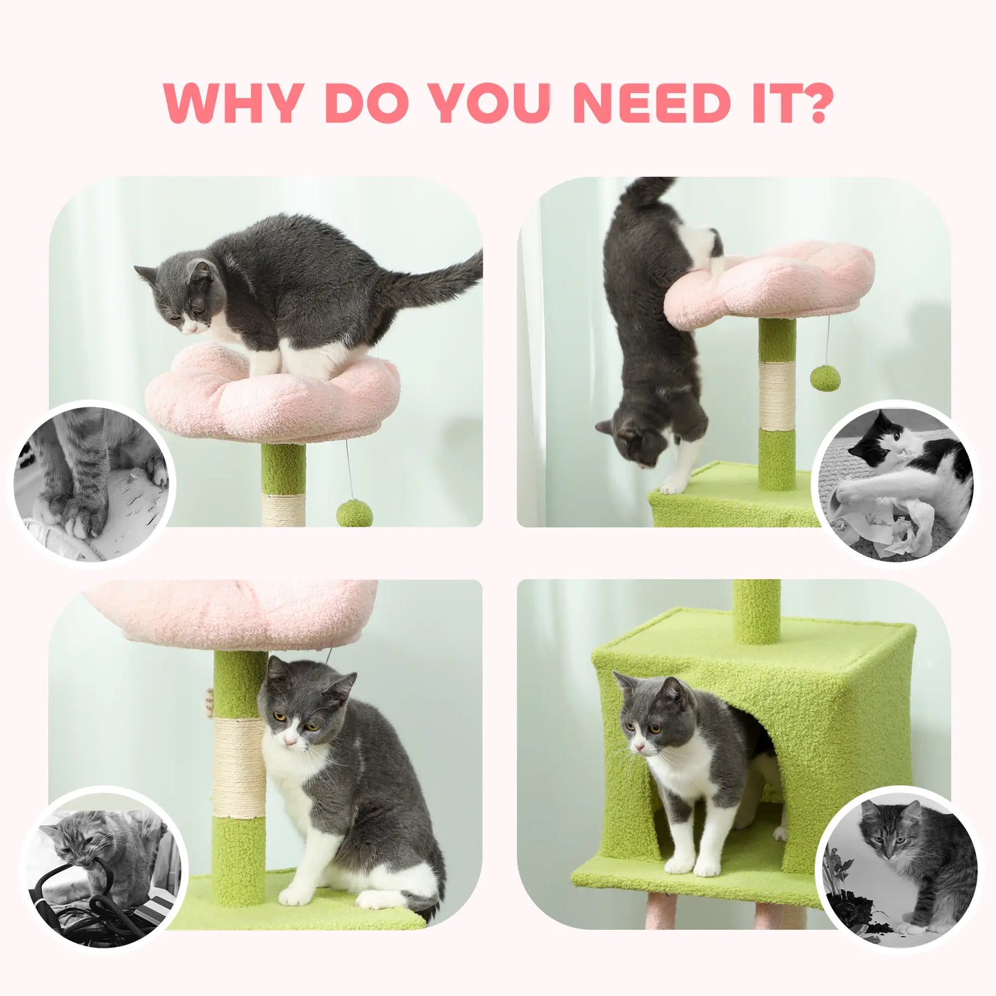 48 Inch Flower Cat Tree, Scratching Post, Cozy Bed, Condo, Green Cat Towers at Gallery Canada