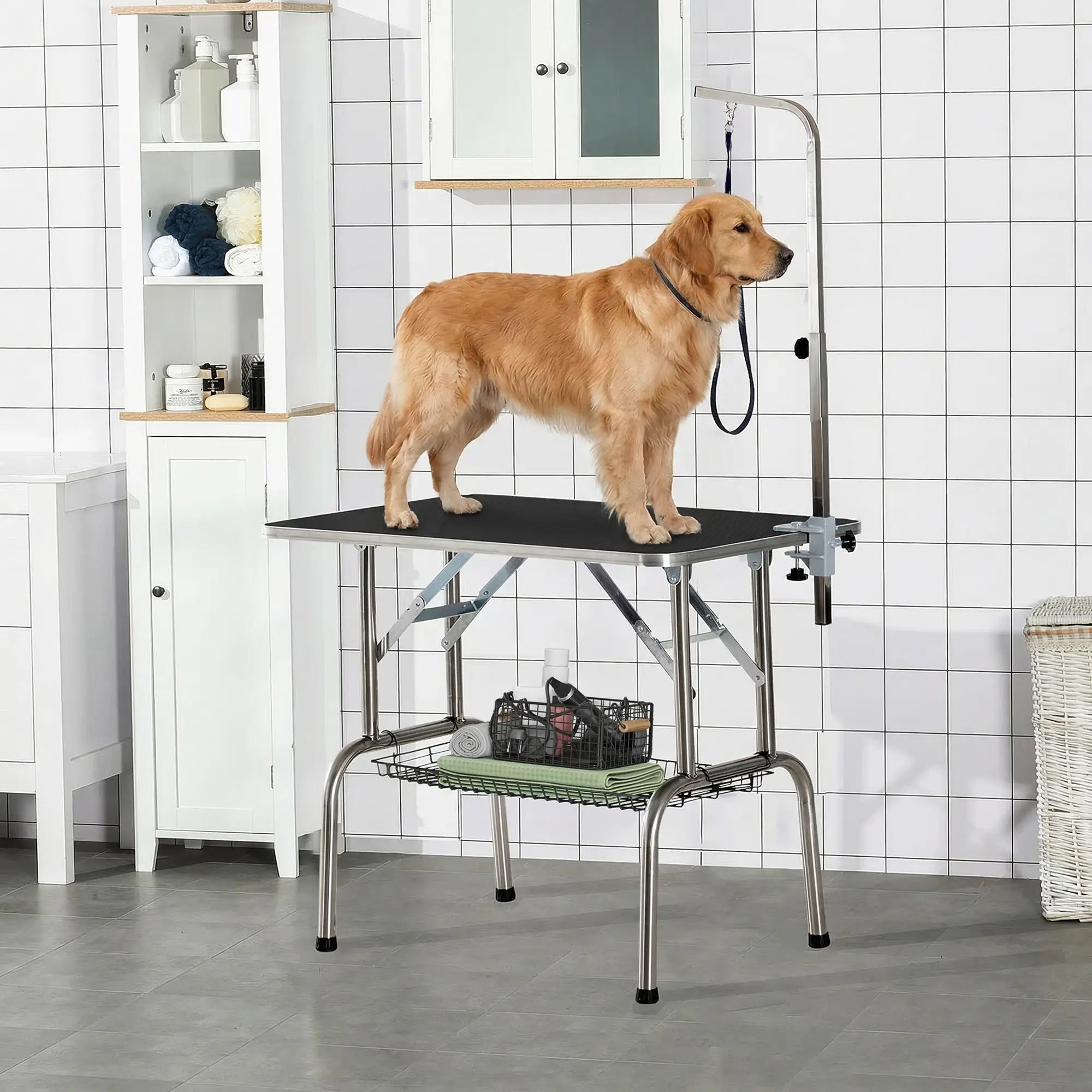 36-Inch Dog Grooming Table, Stainless Steel, Adjustable Arm, Basket Dog Grooming Tables at Gallery Canada