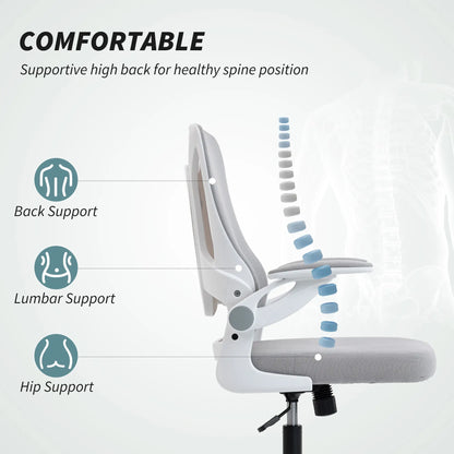 Ergonomic Swivel Office Chair, Adjustable Lumbar Support, Grey Task Chairs at Gallery Canada