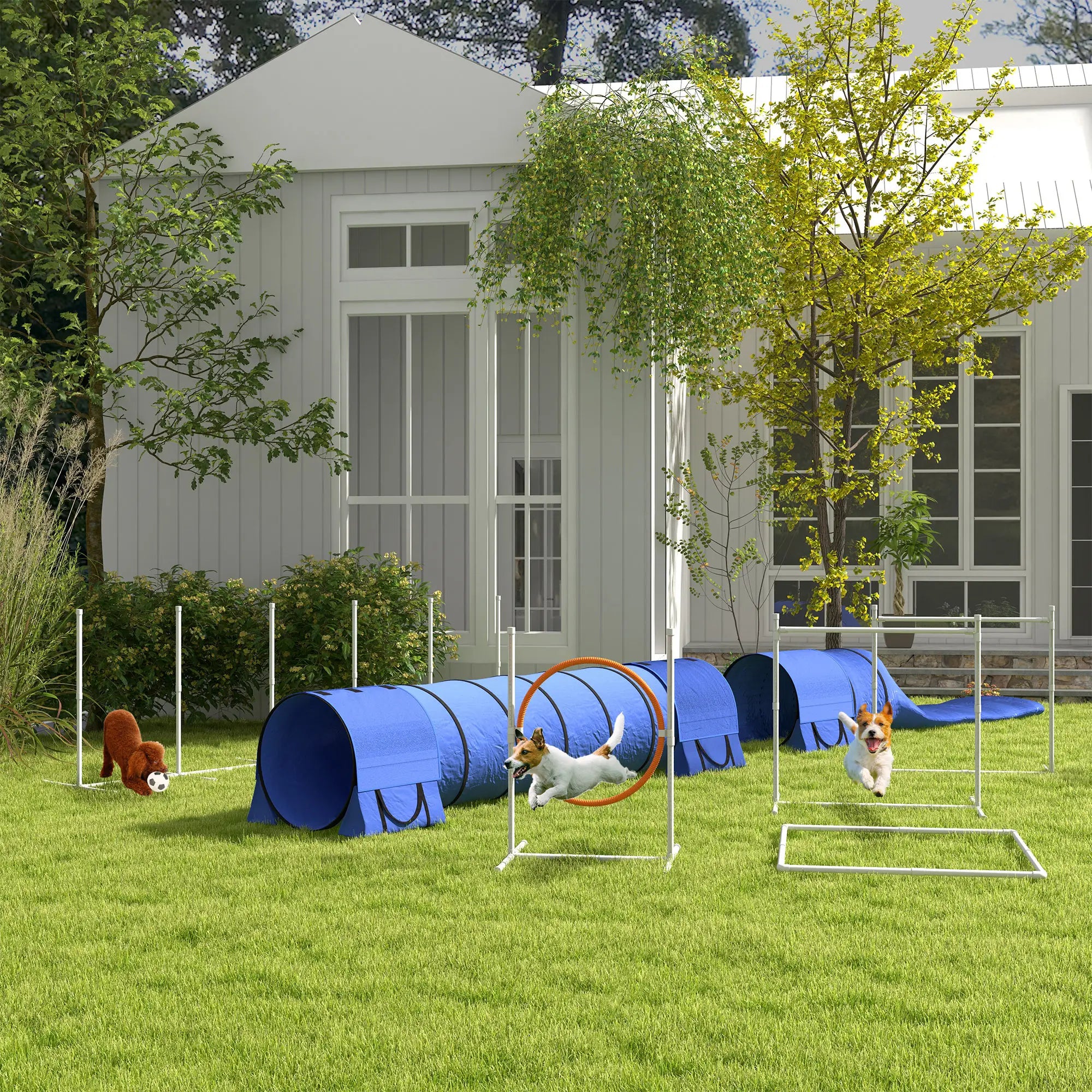 7 Pcs Dog Agility Kit, Tunnels, Weave Poles, Adjustable Hurdles, Blue Dog Agility Training Equipment at Gallery Canada