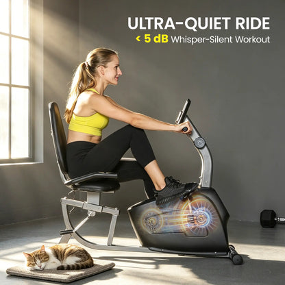Recumbent Exercise Bike, 8-Level Magnetic Resistance, LCD Monitor, Heart Rate Handle, Adjustable Seat Exercise & Stationary Bikes at Gallery Canada