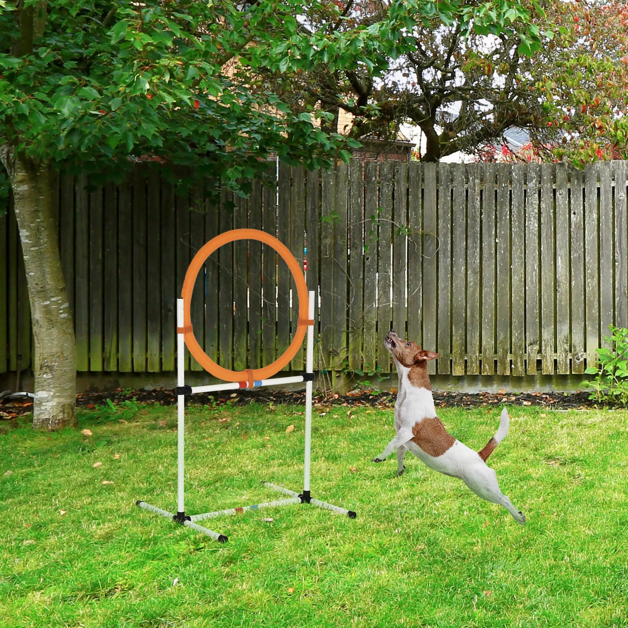 Dog Agility Training Equipment, Tire Jump Ring, Hurdle Bar, Easy Setup, Storage Bag Dog Agility Training Equipment at Gallery Canada