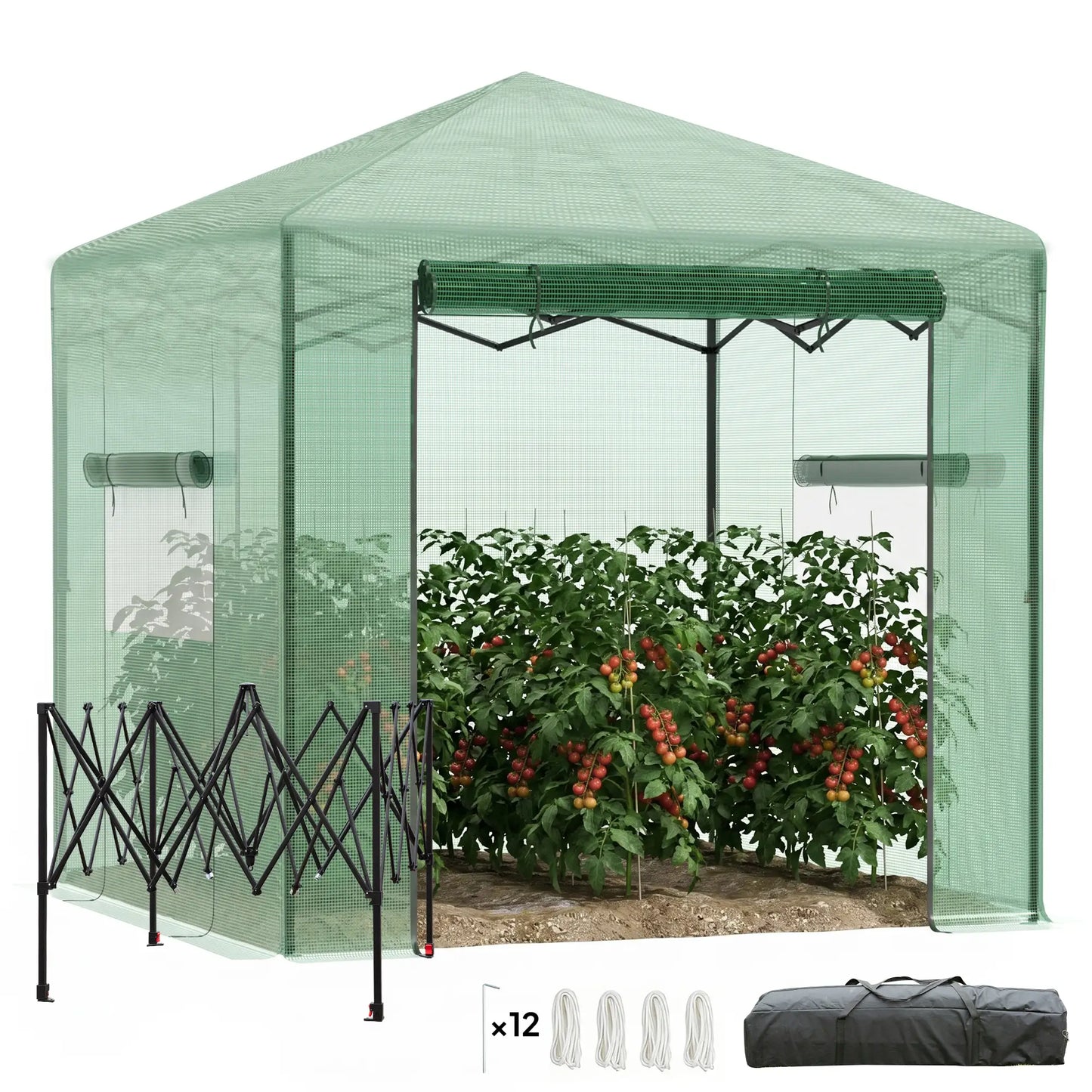 8' x 6' Portable Pop Up Greenhouse, Outdoor Walk-in, Green Walk In Greenhouses Dark Green at Gallery Canada